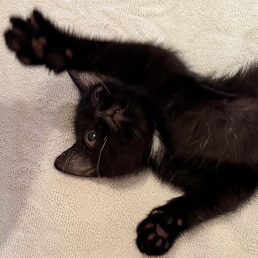 Winnie