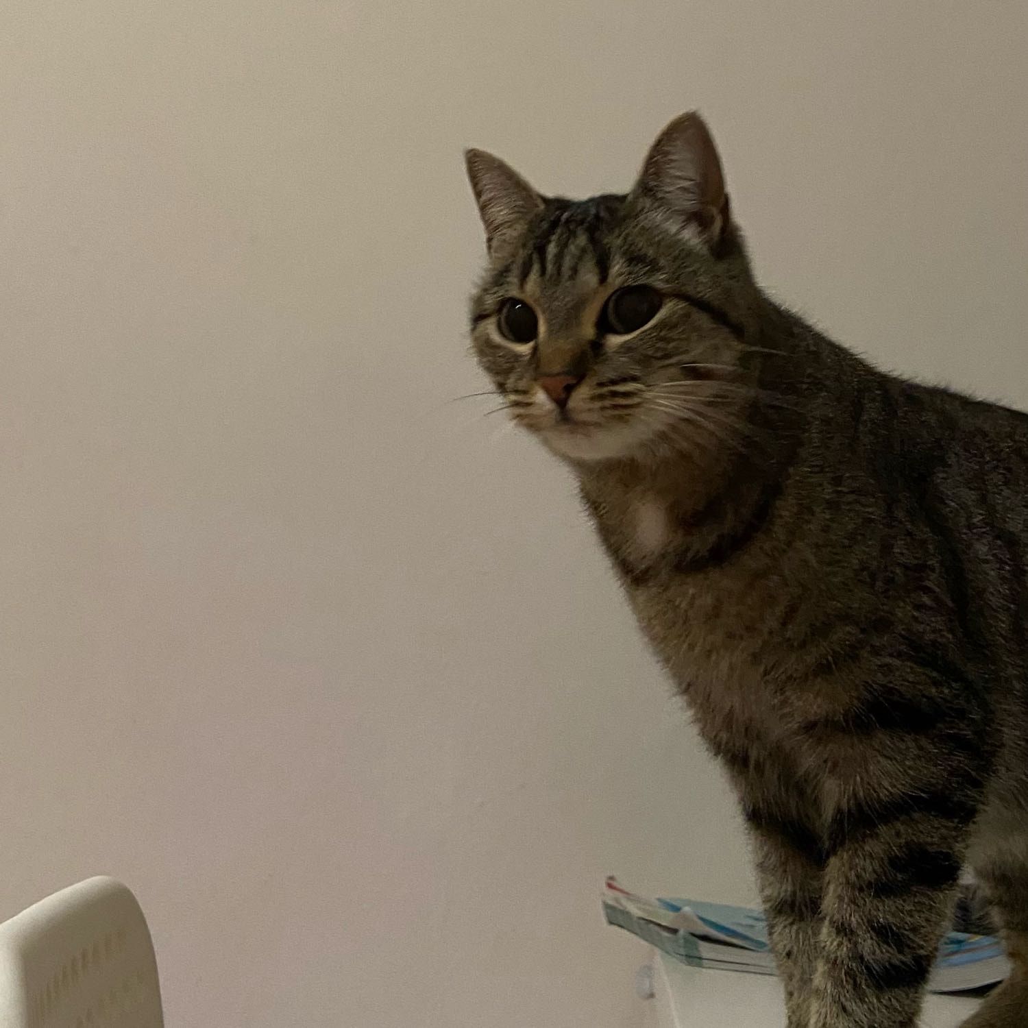 Chloe