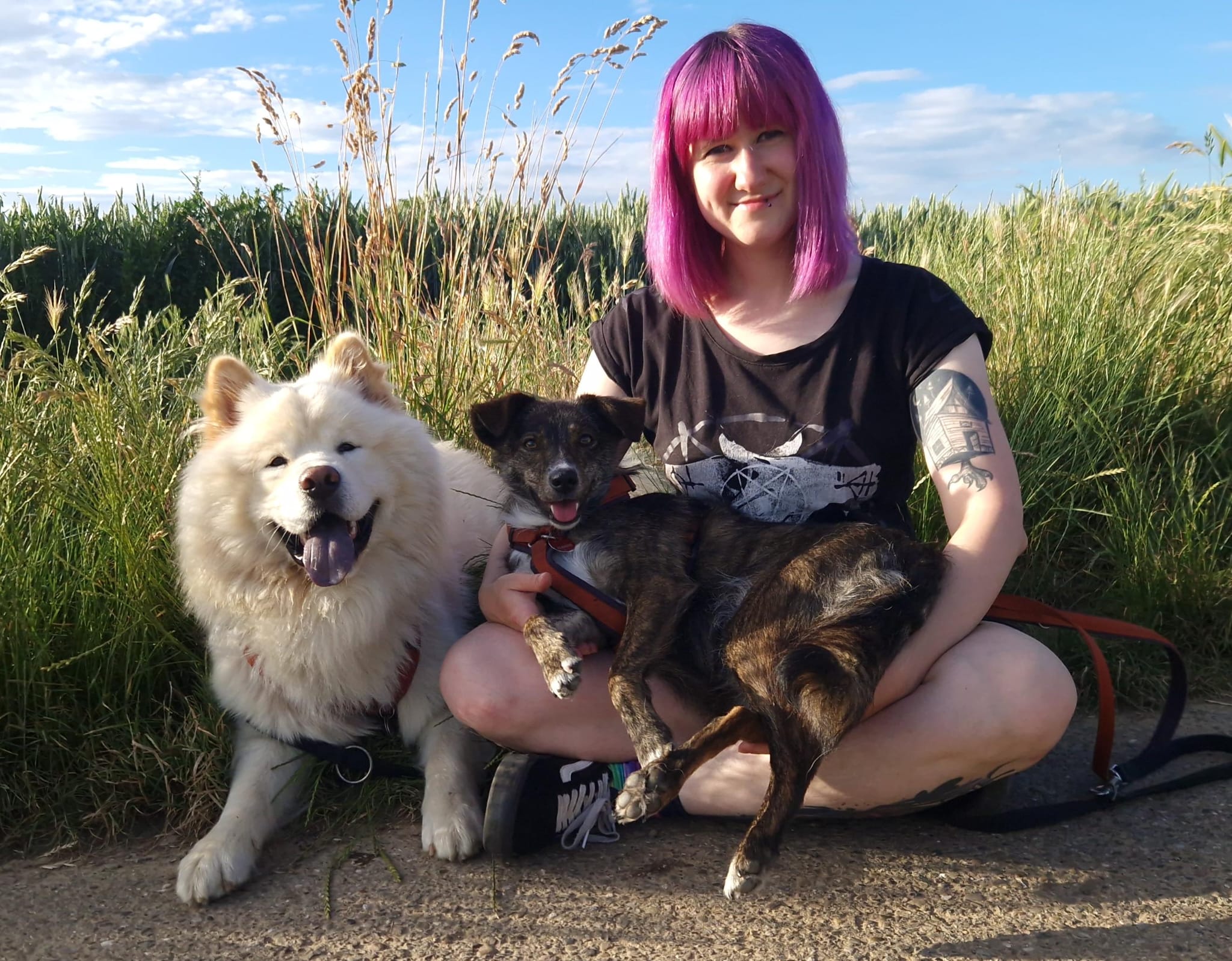 image-1
