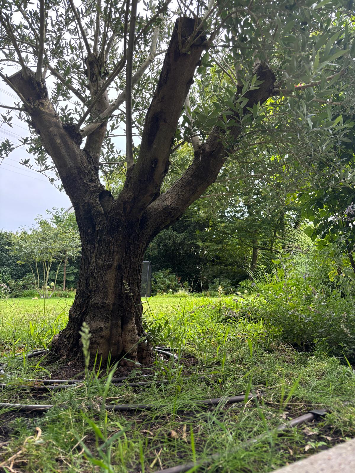 image-14