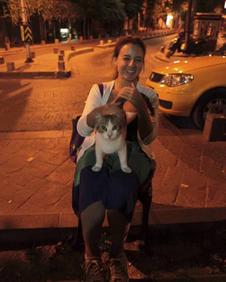 image-8