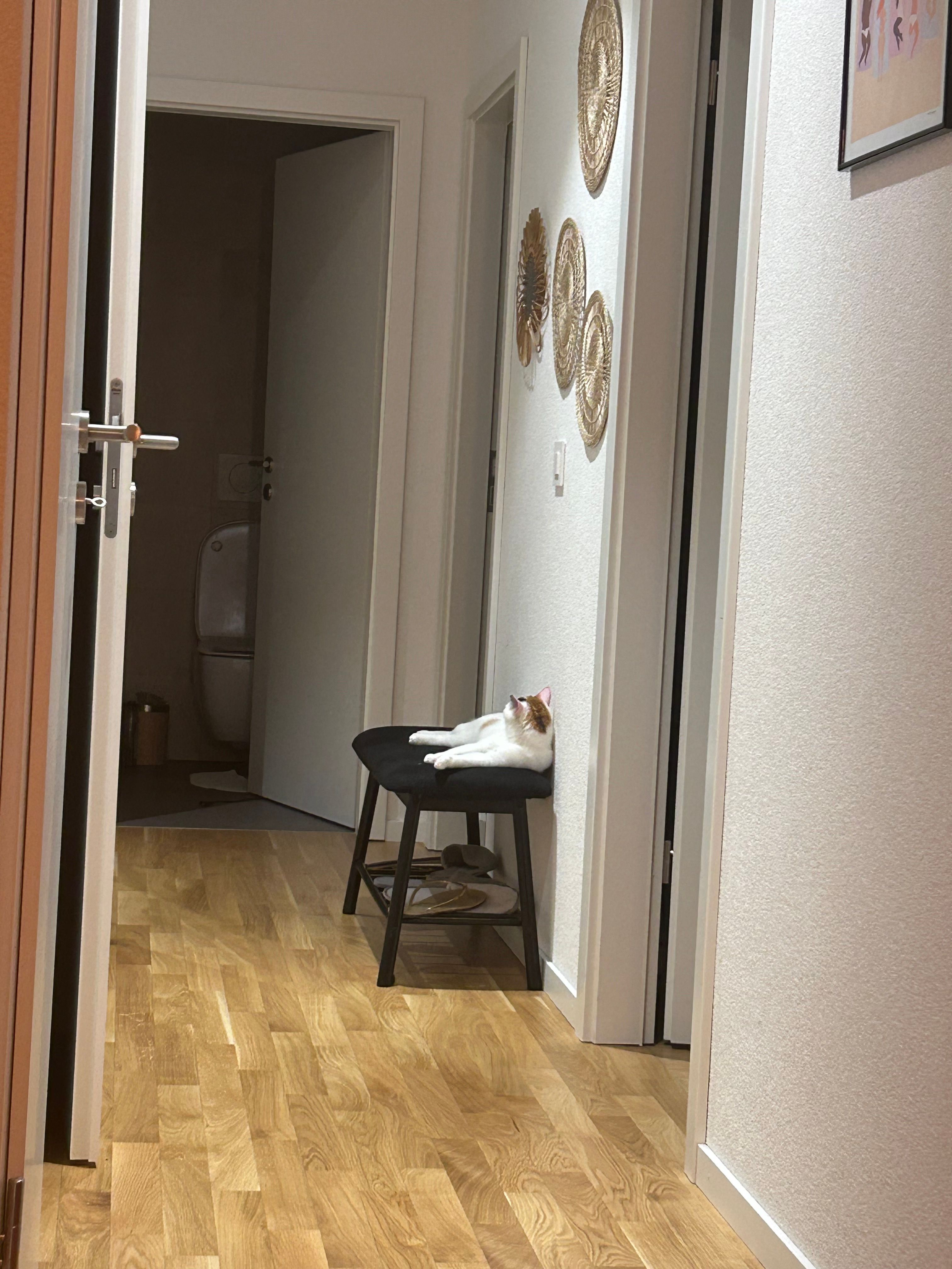 image-15