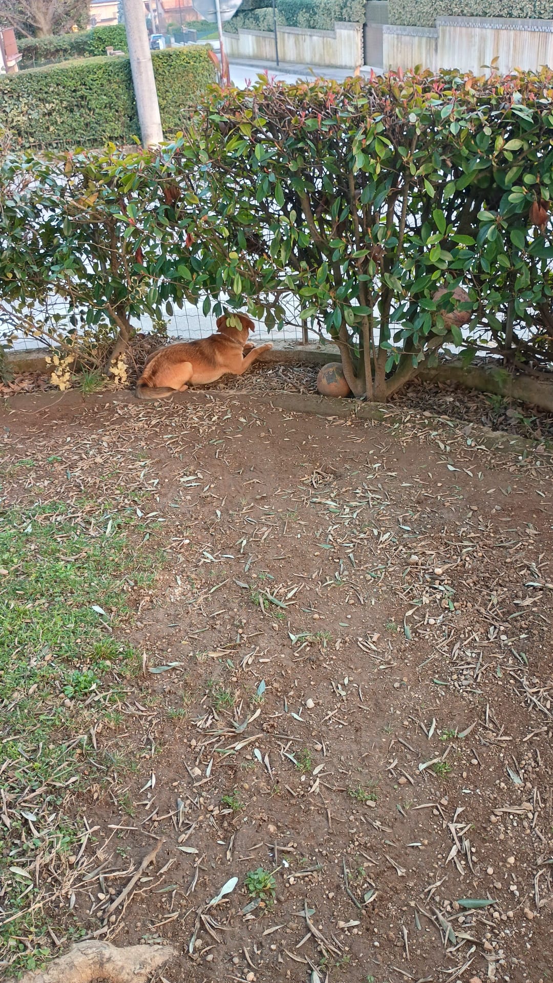 image-16