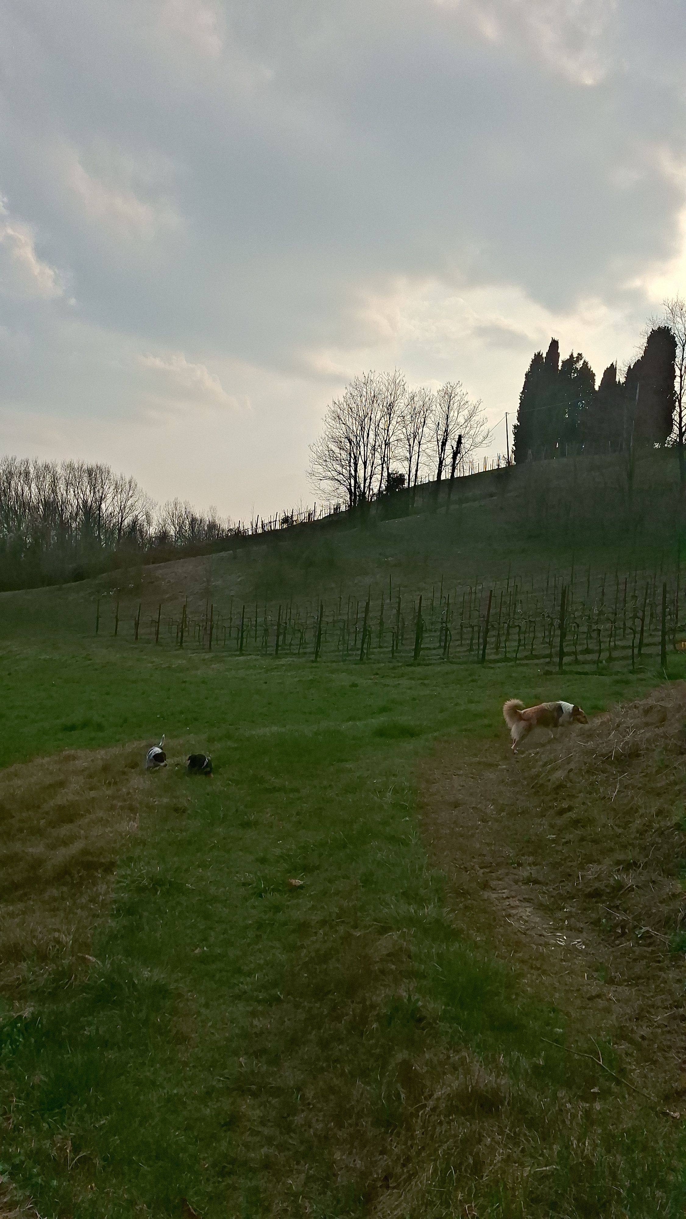 image-15
