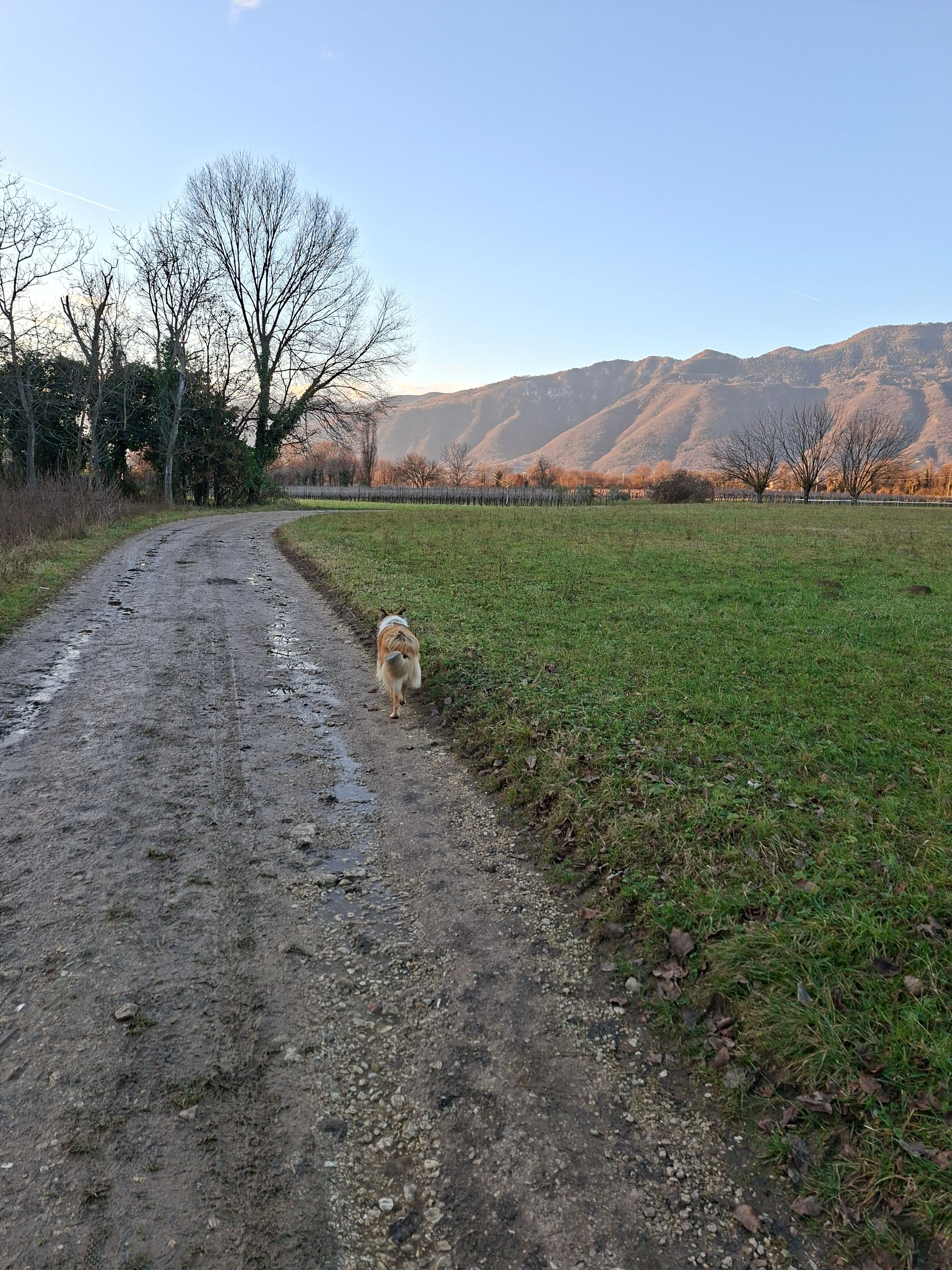image-14