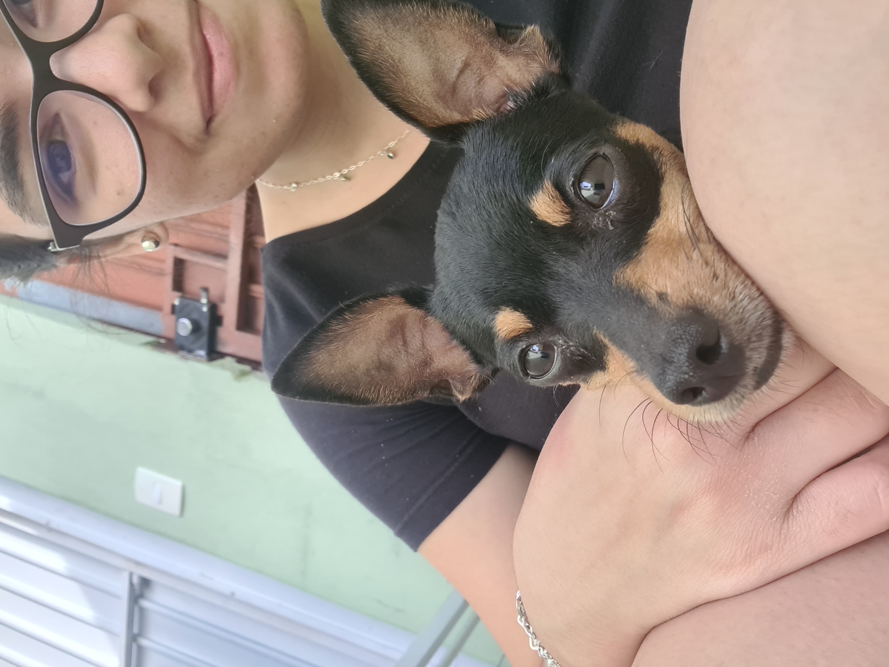 image-8