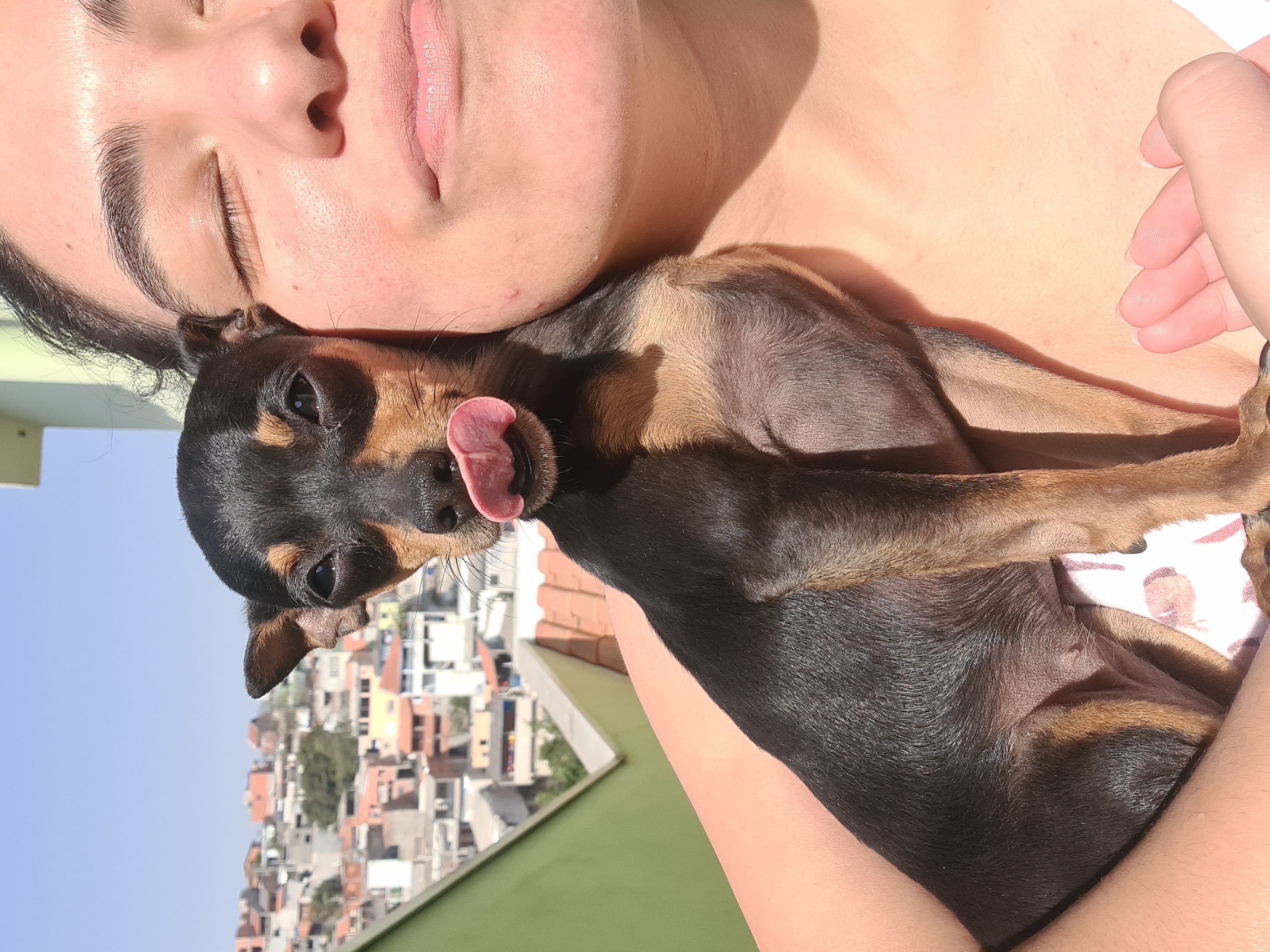 image-7