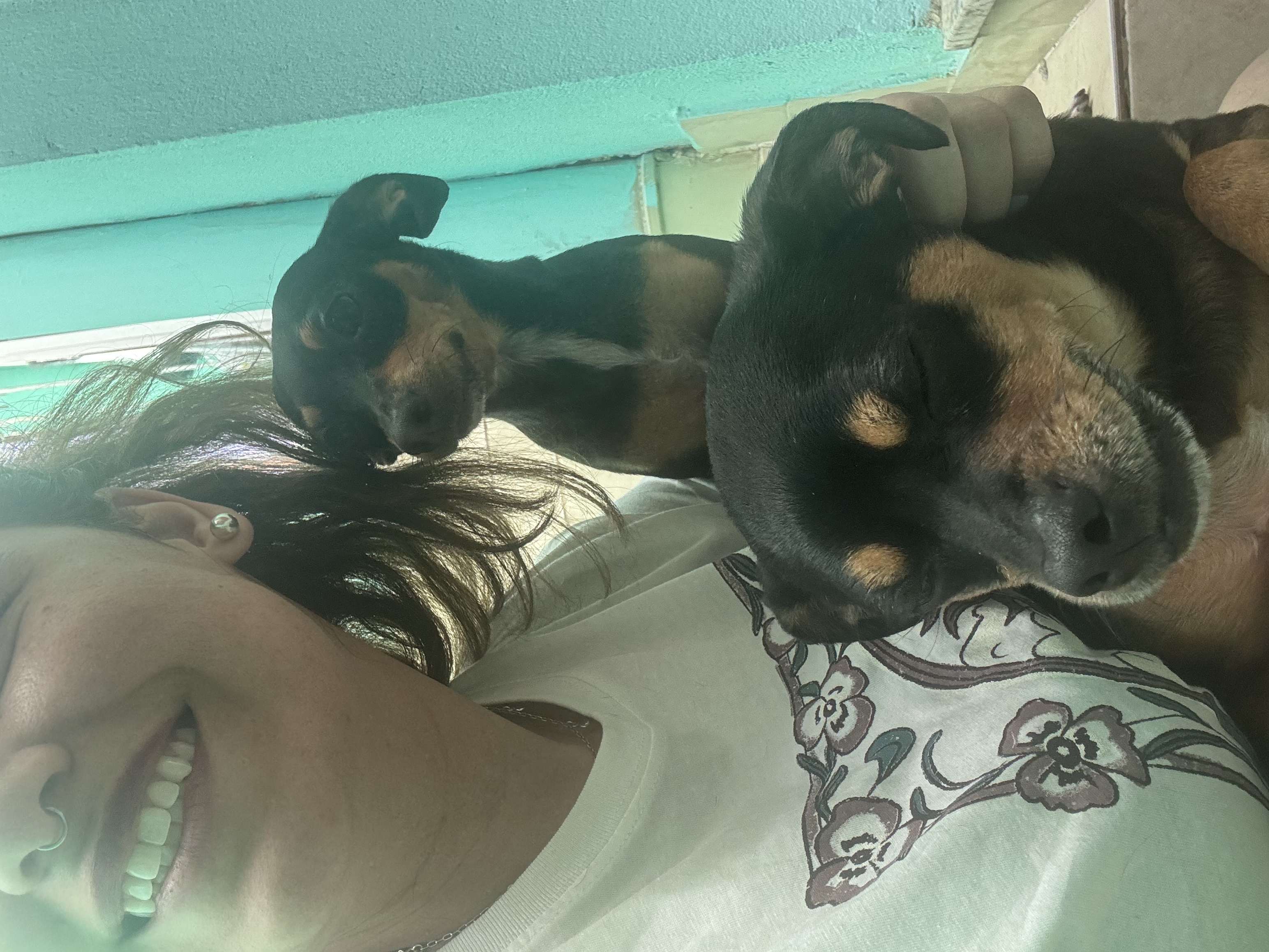 image-6