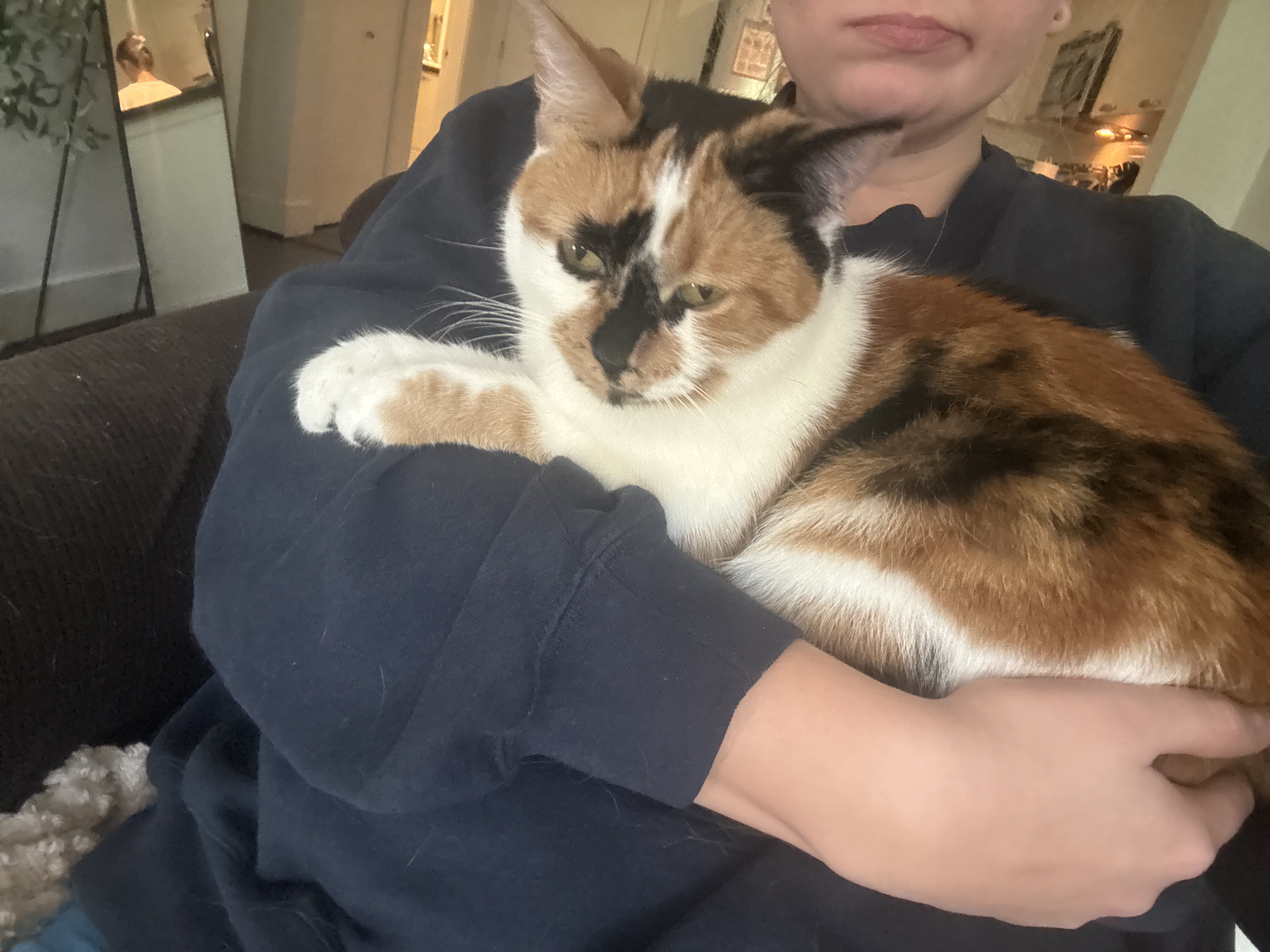 image-6