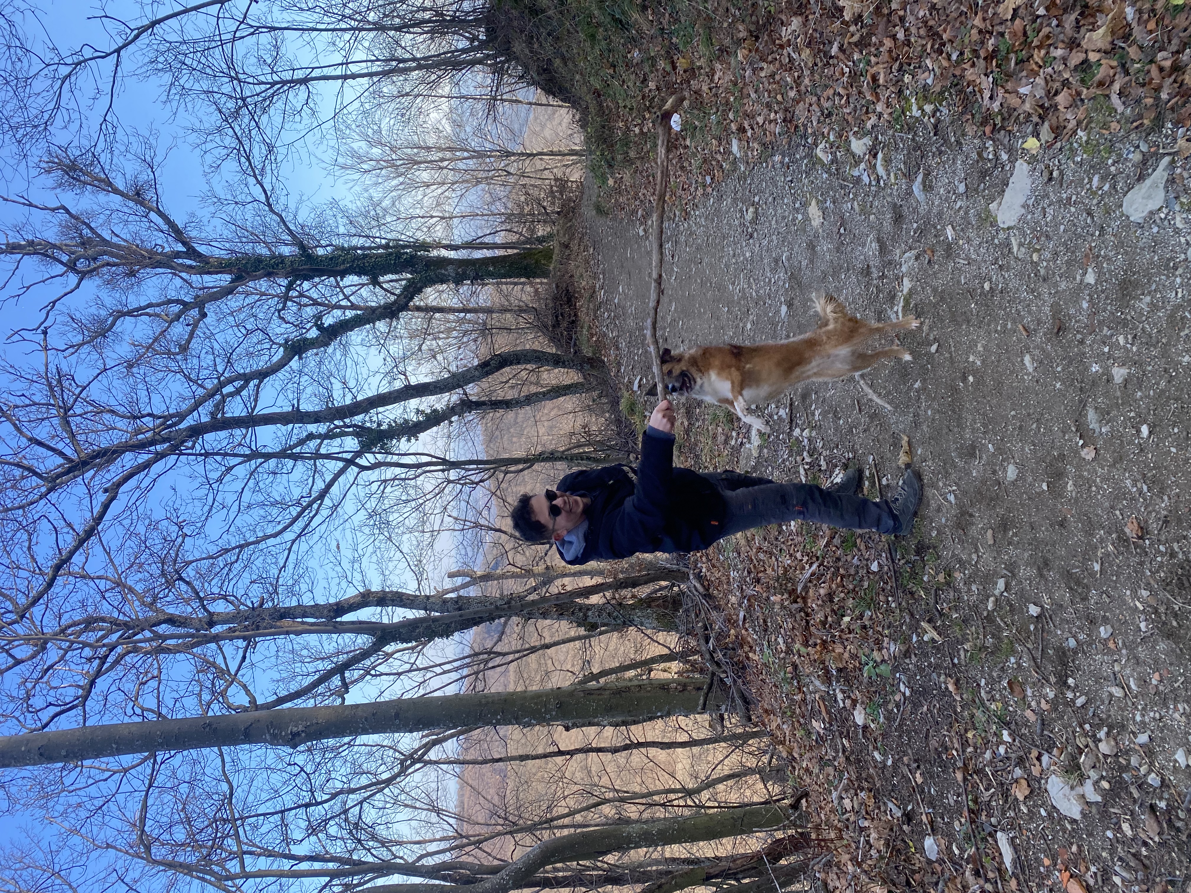image-4