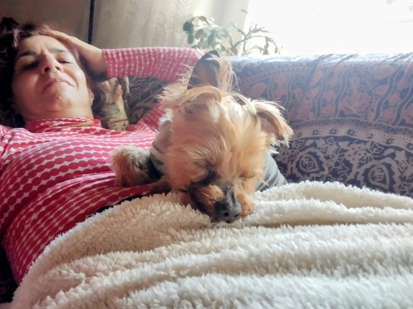 image-7