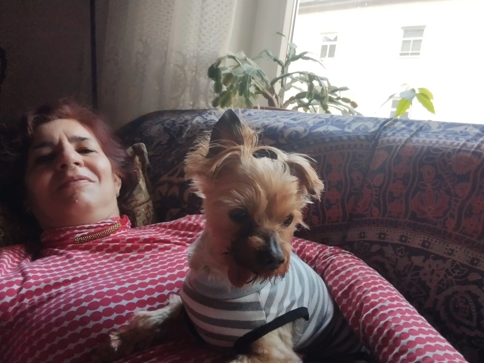 image-12
