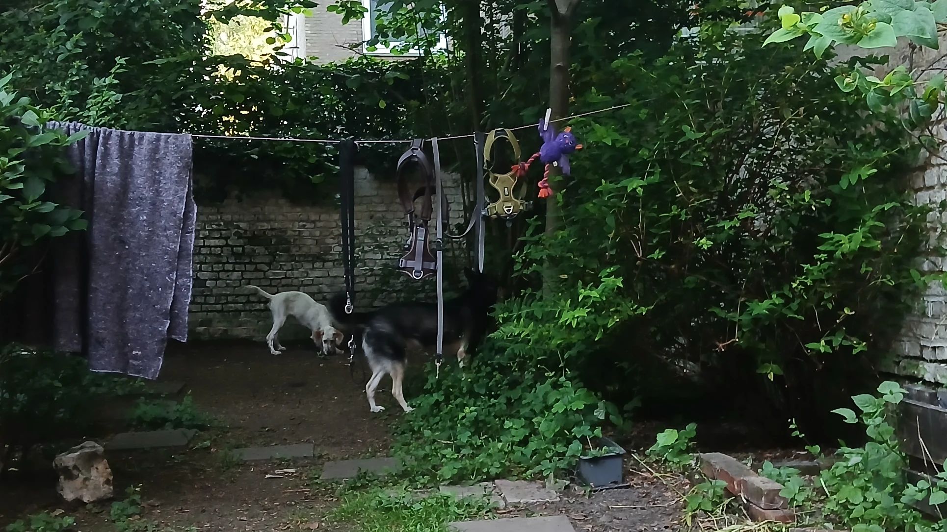 image-18