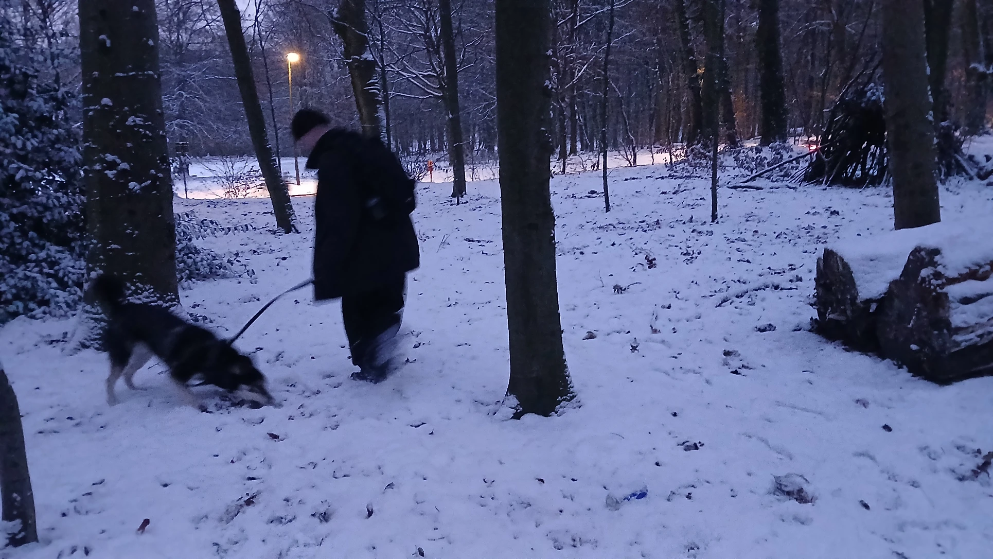 image-9