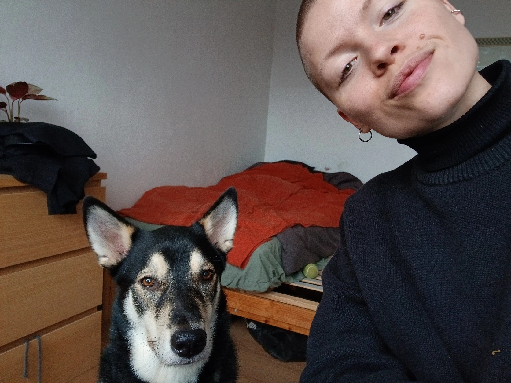 image-3