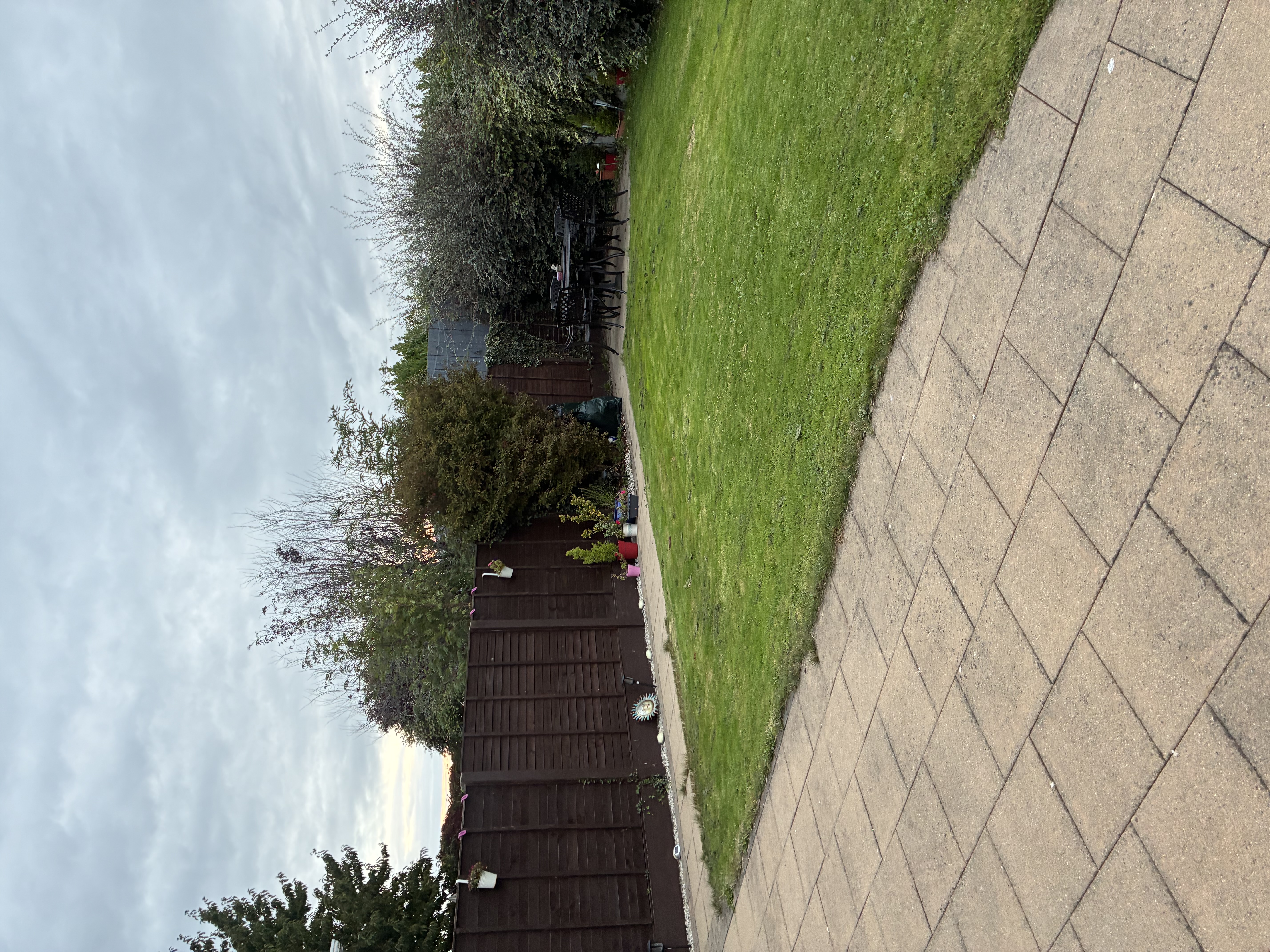 image-14