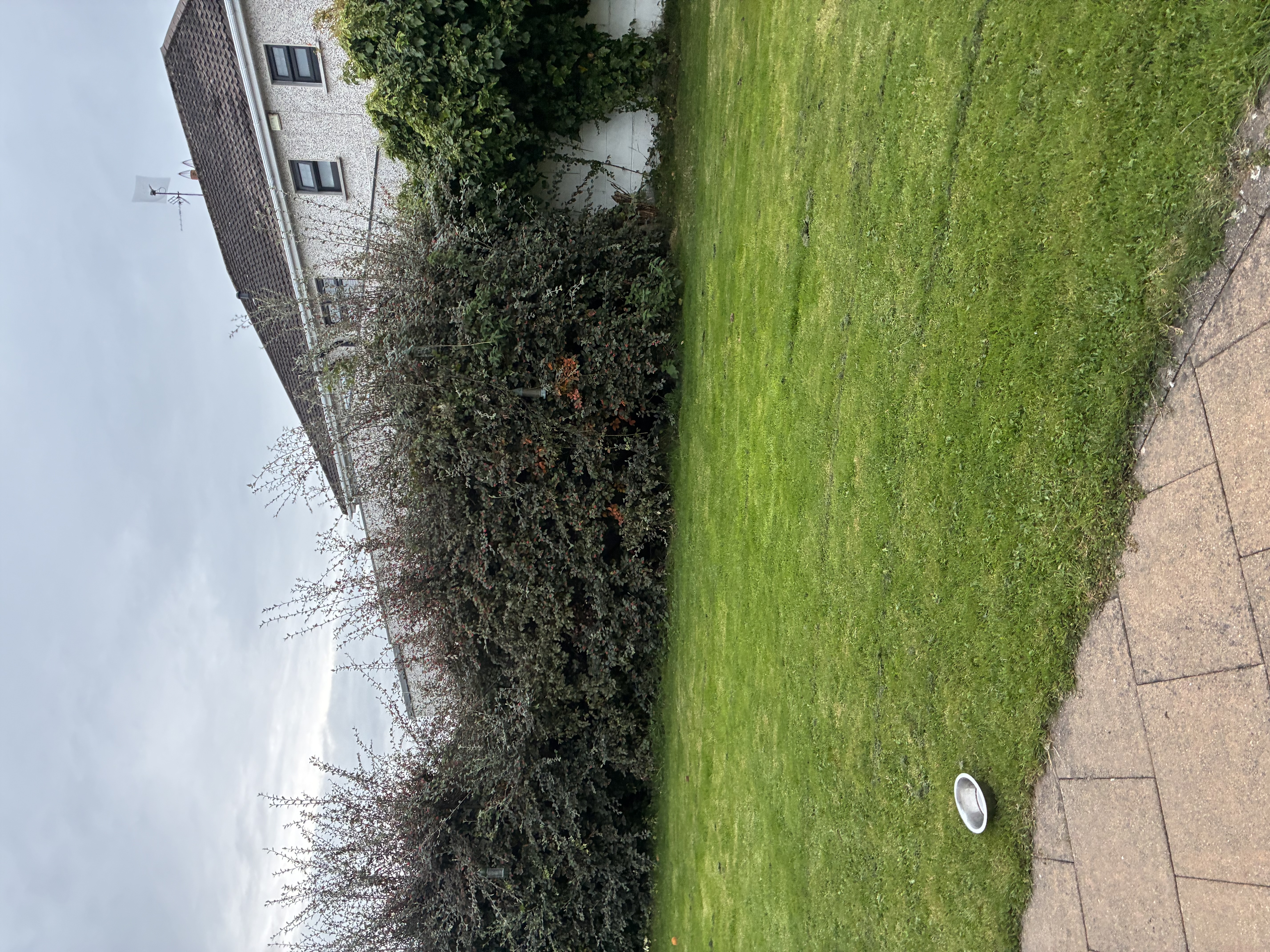 image-13