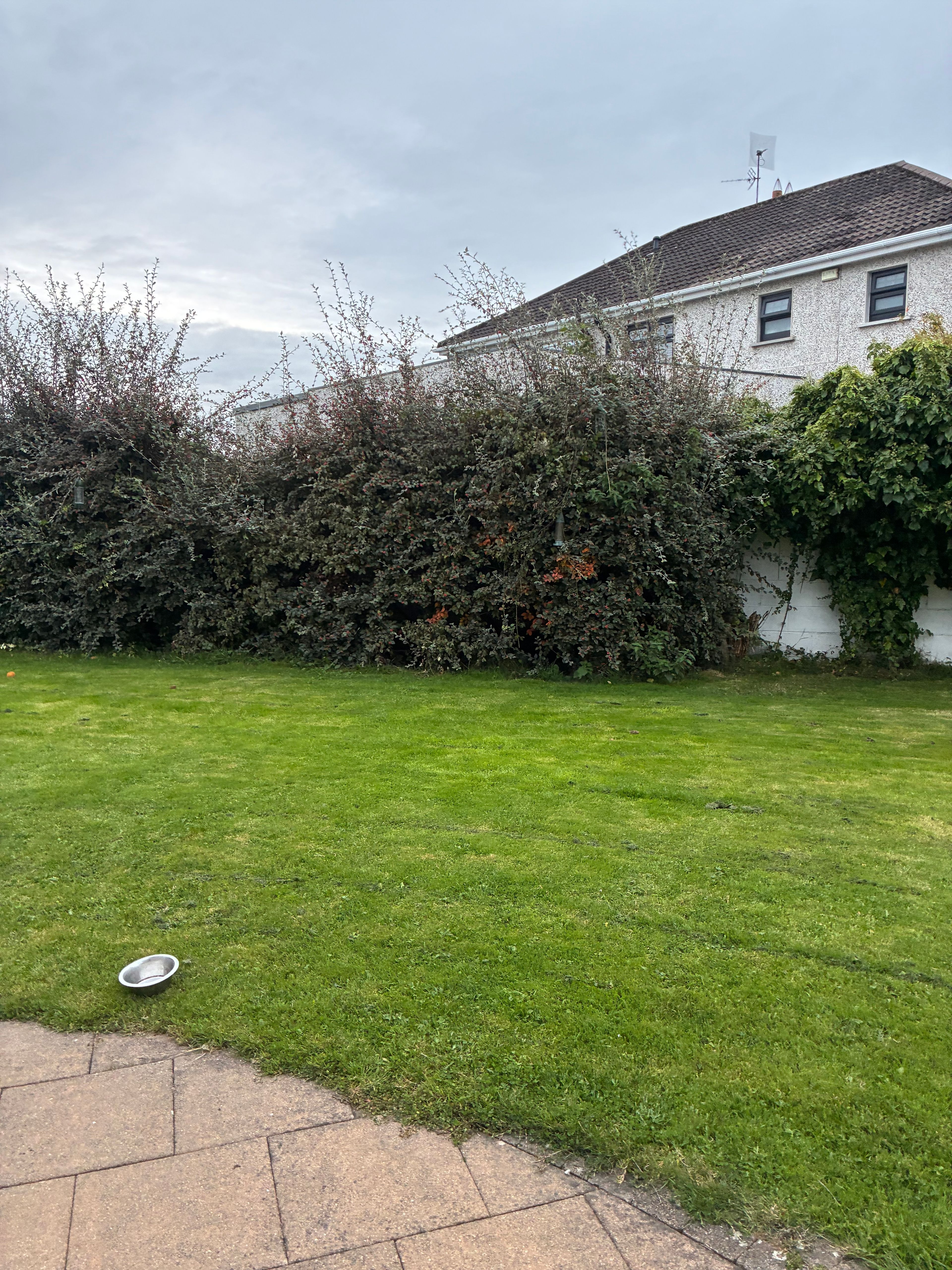 image-13