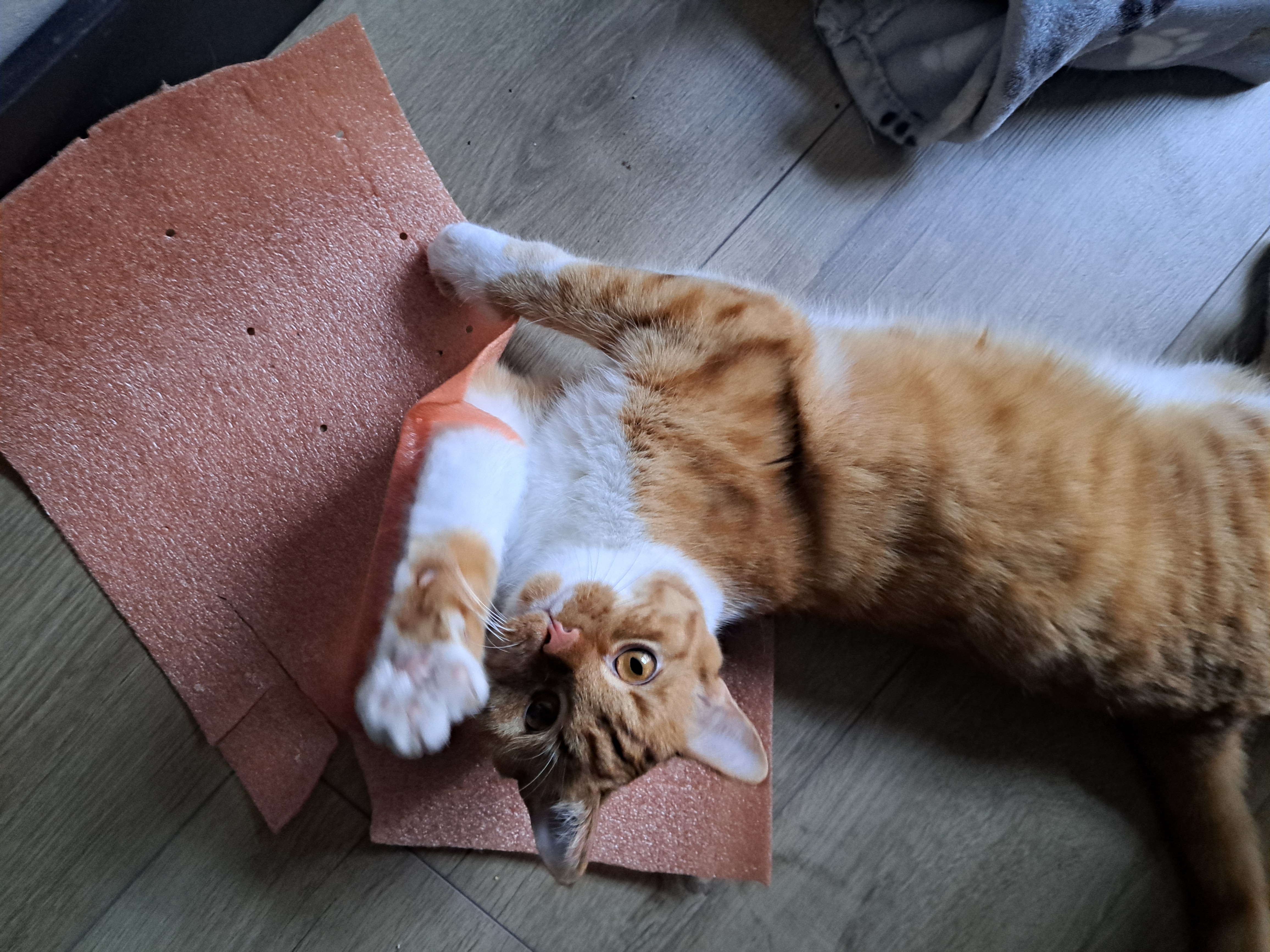 image-5