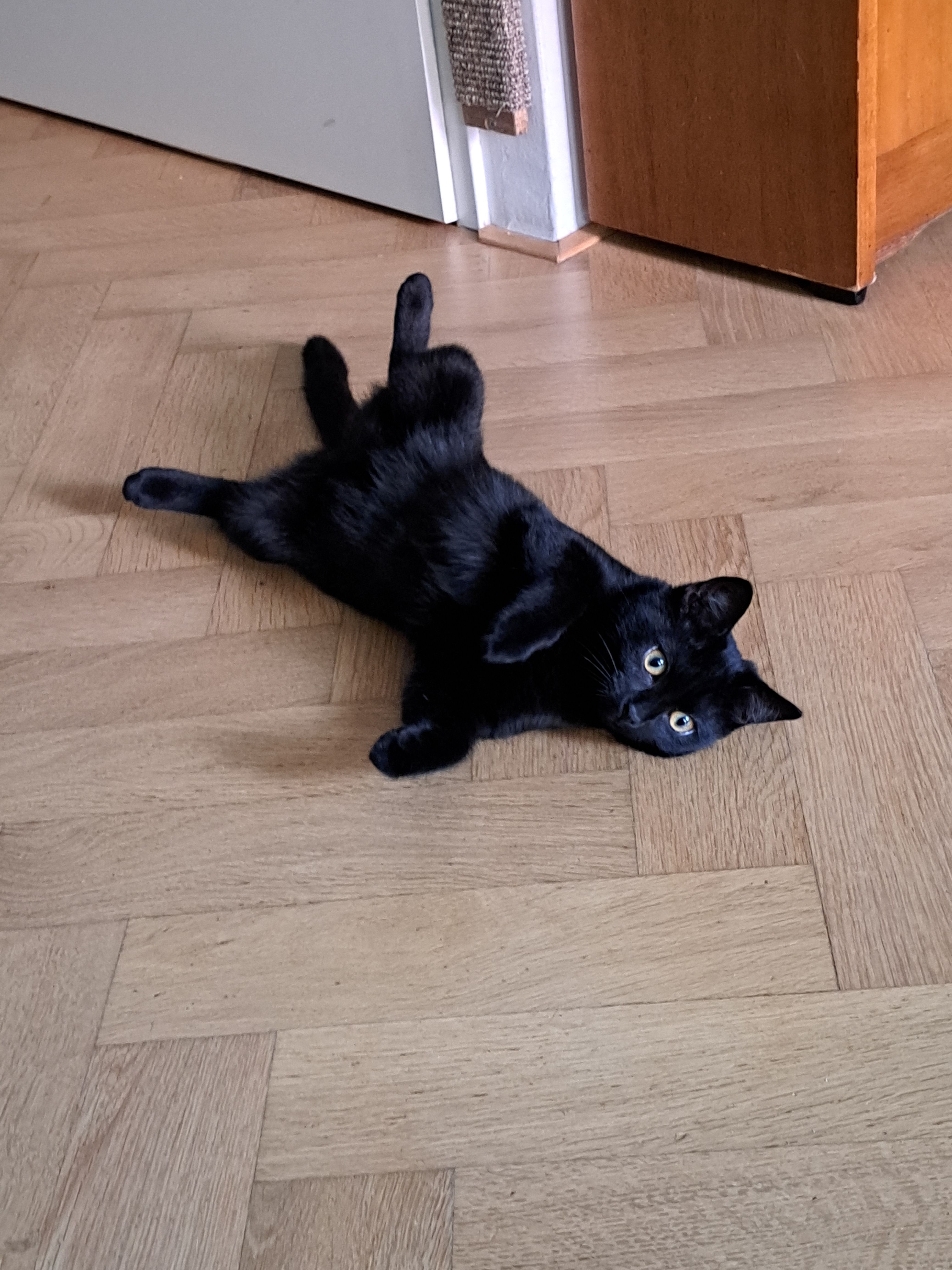 image-8
