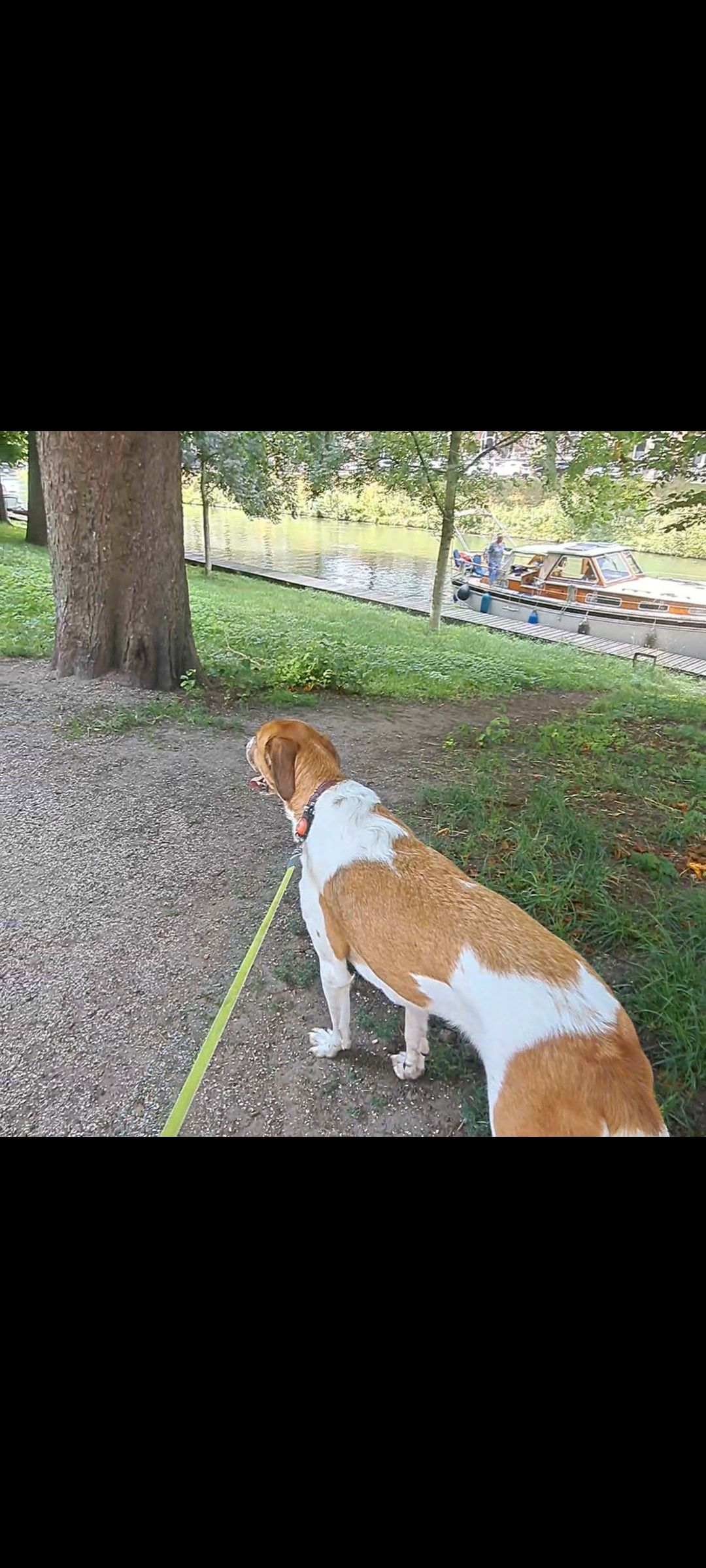 image-17