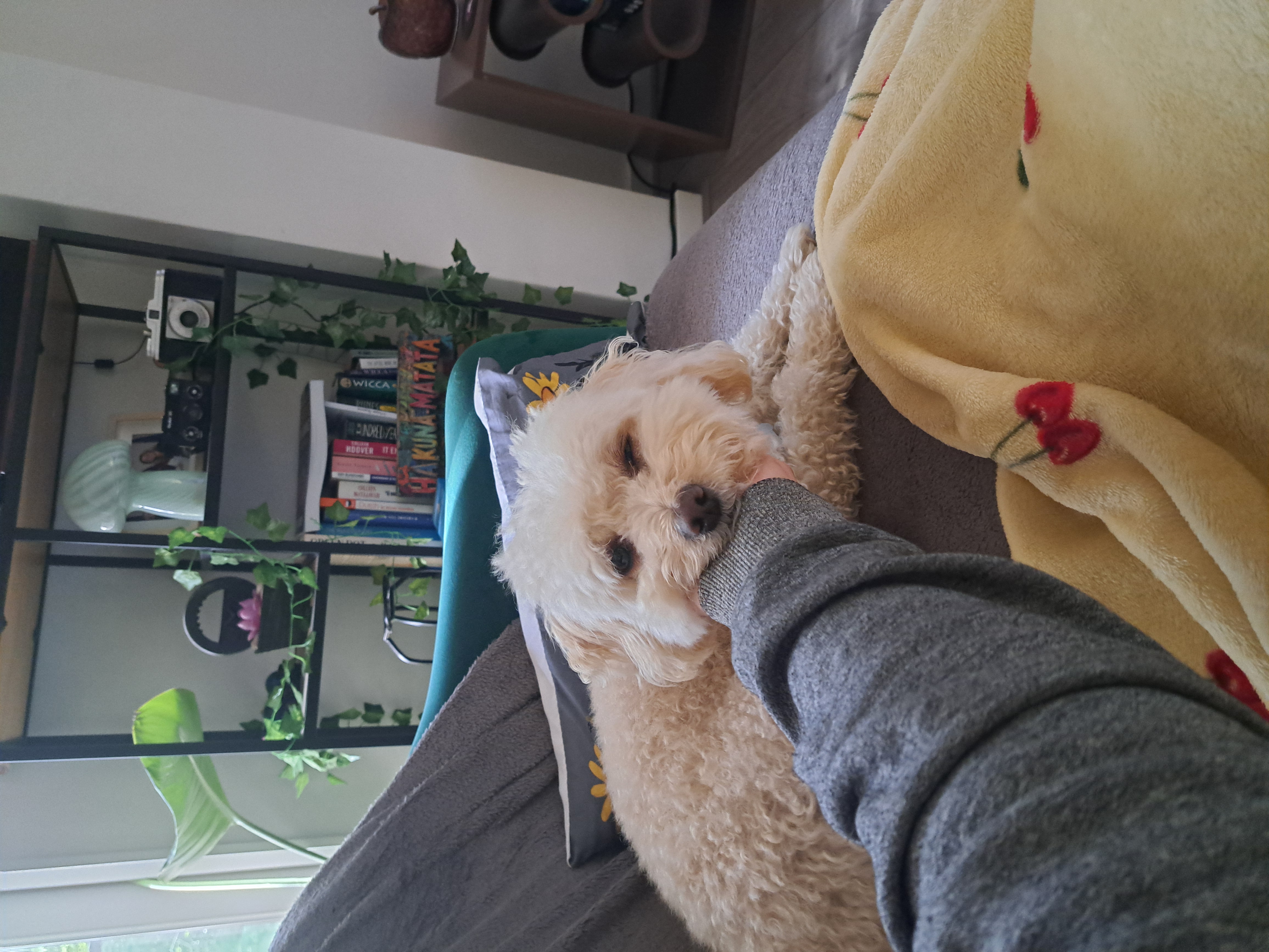 image-10