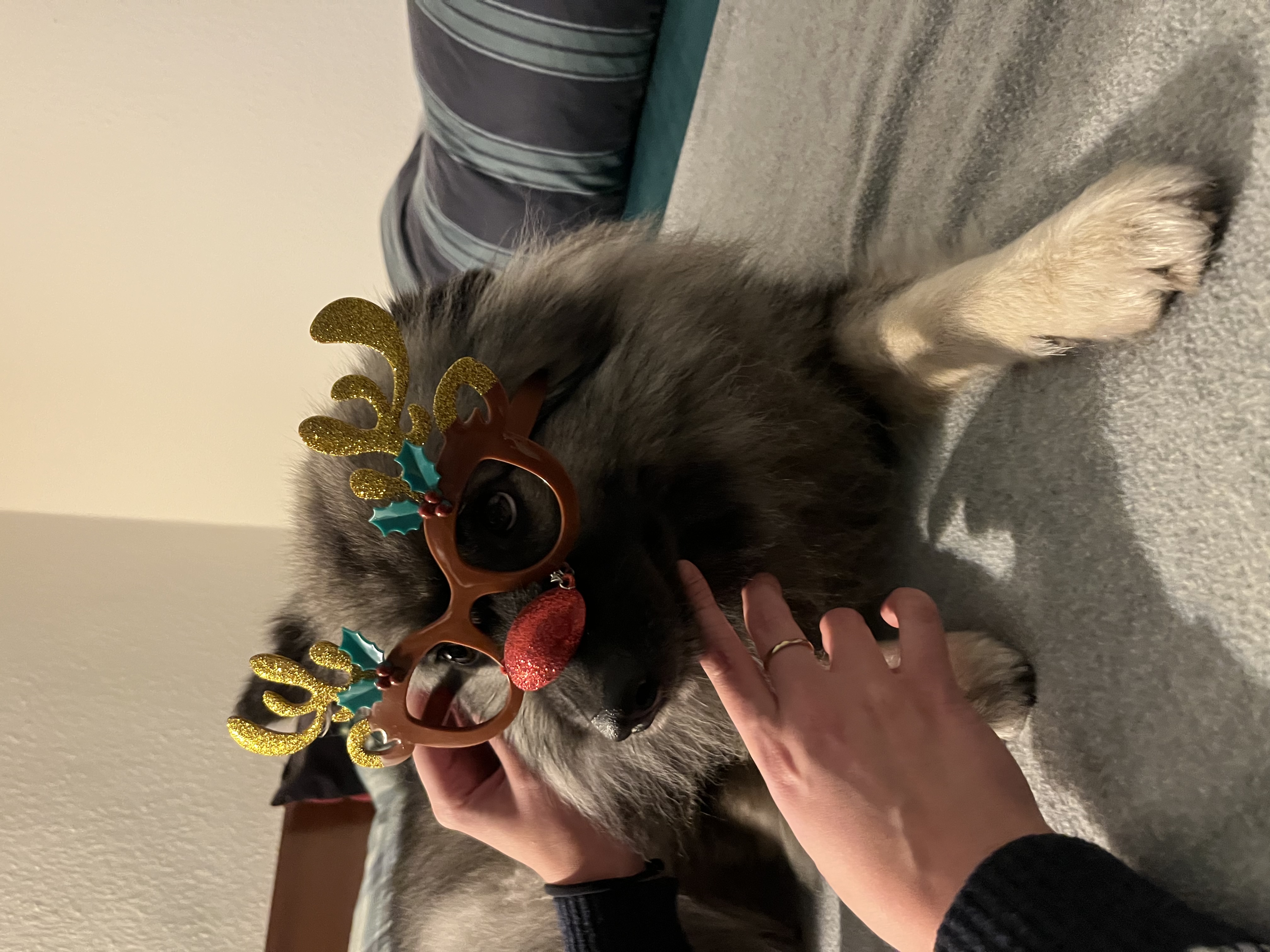 image-8