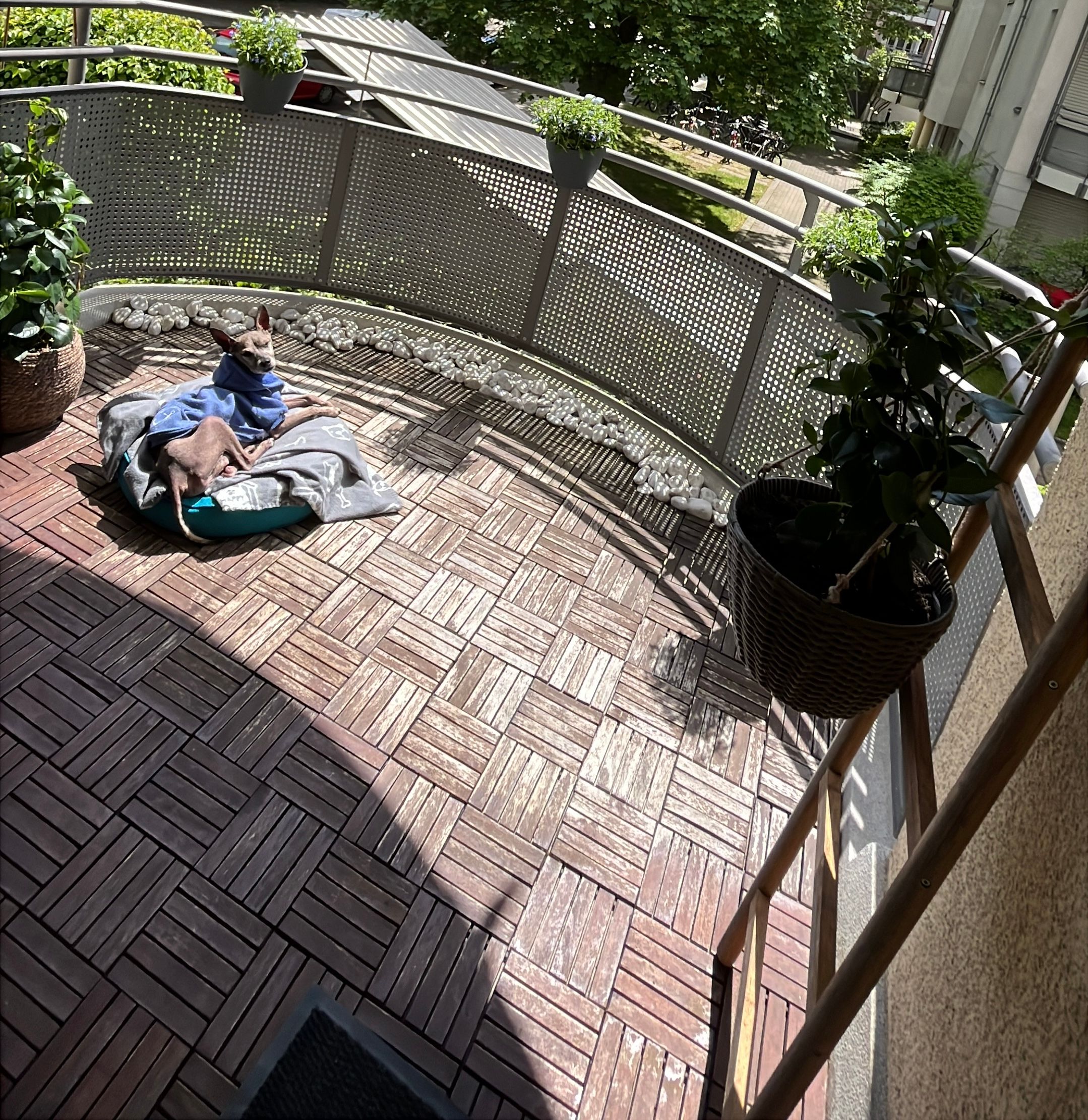 image-7