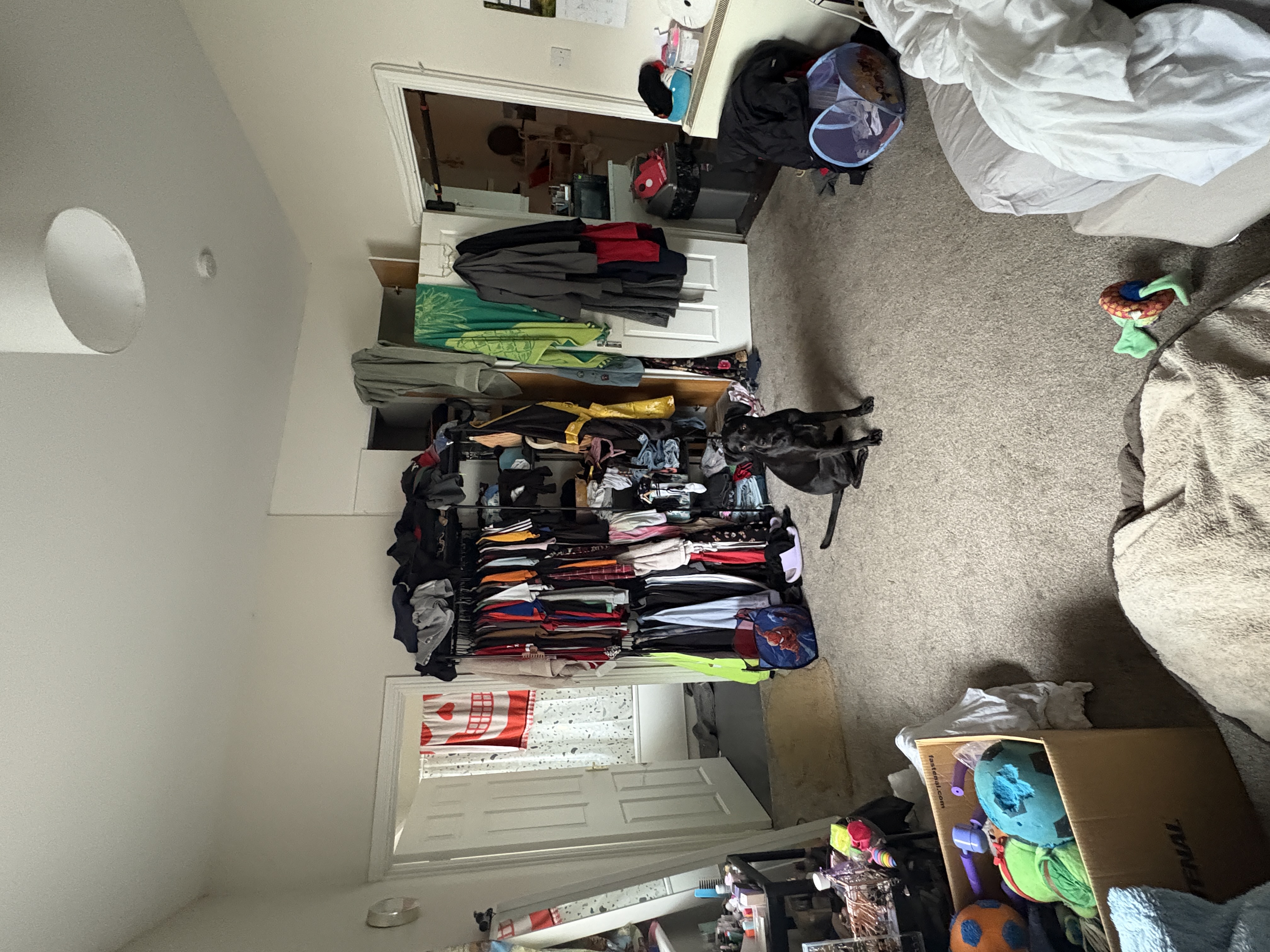 image-19