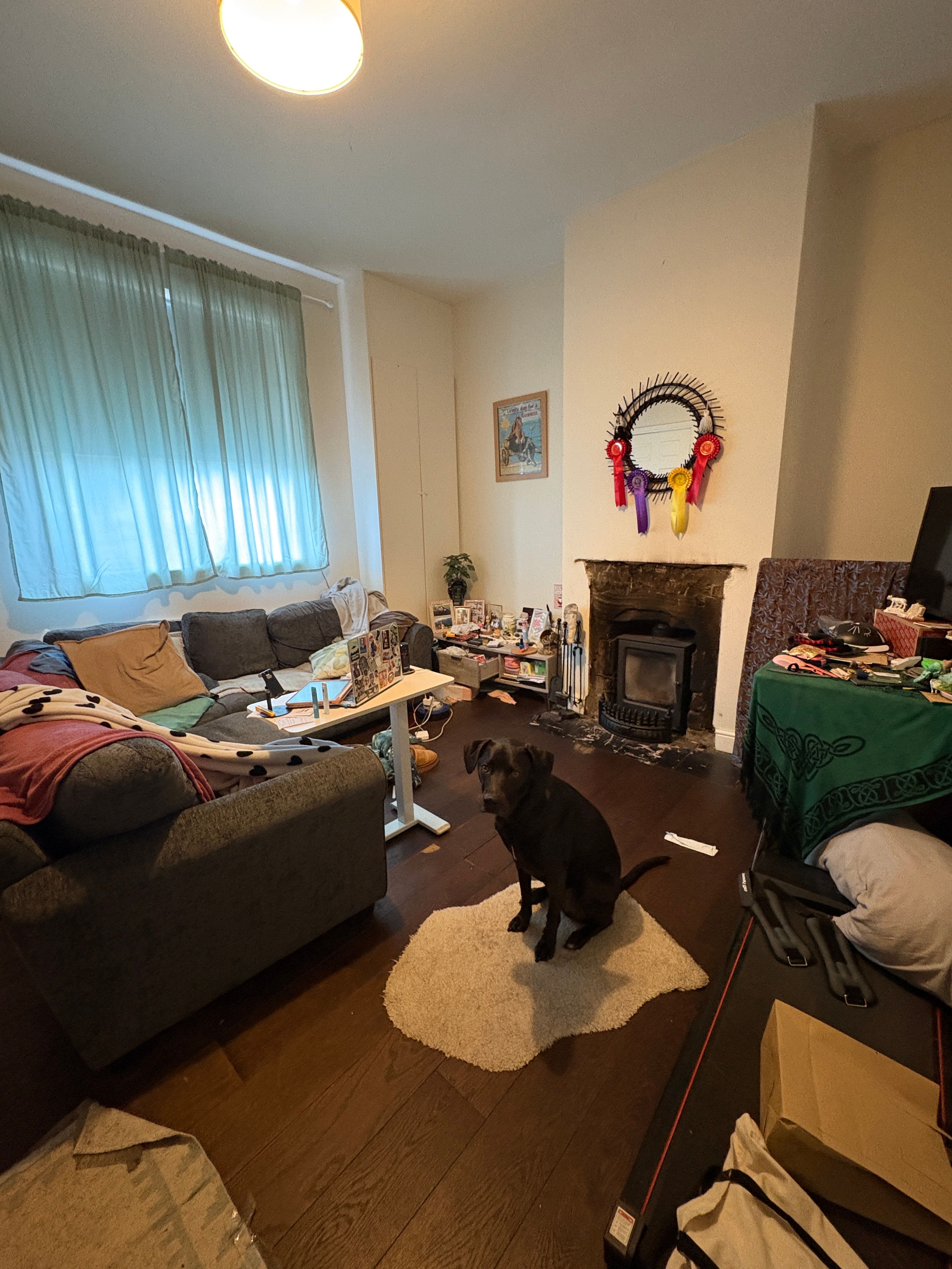 image-18