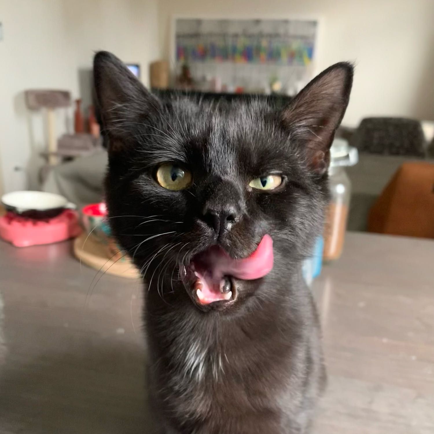 Otis