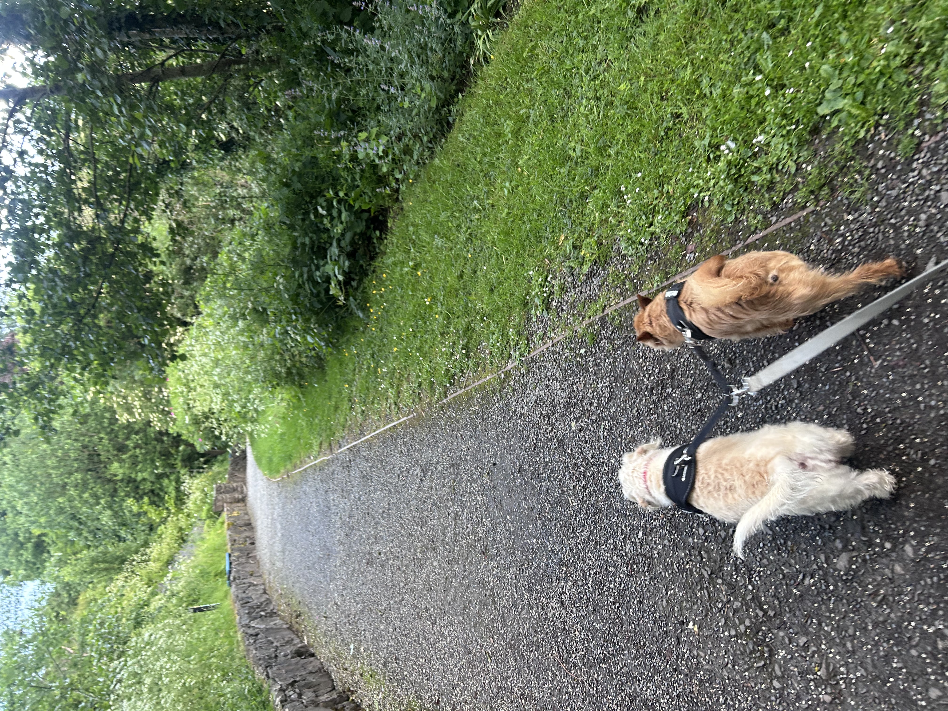 image-47