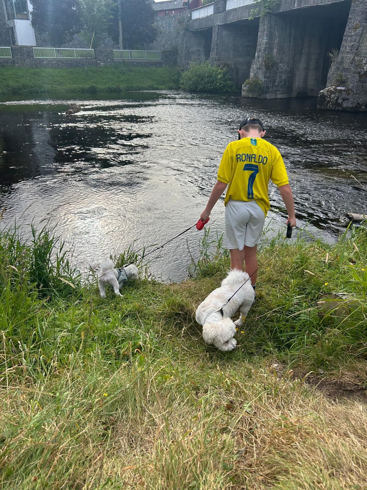 image-11