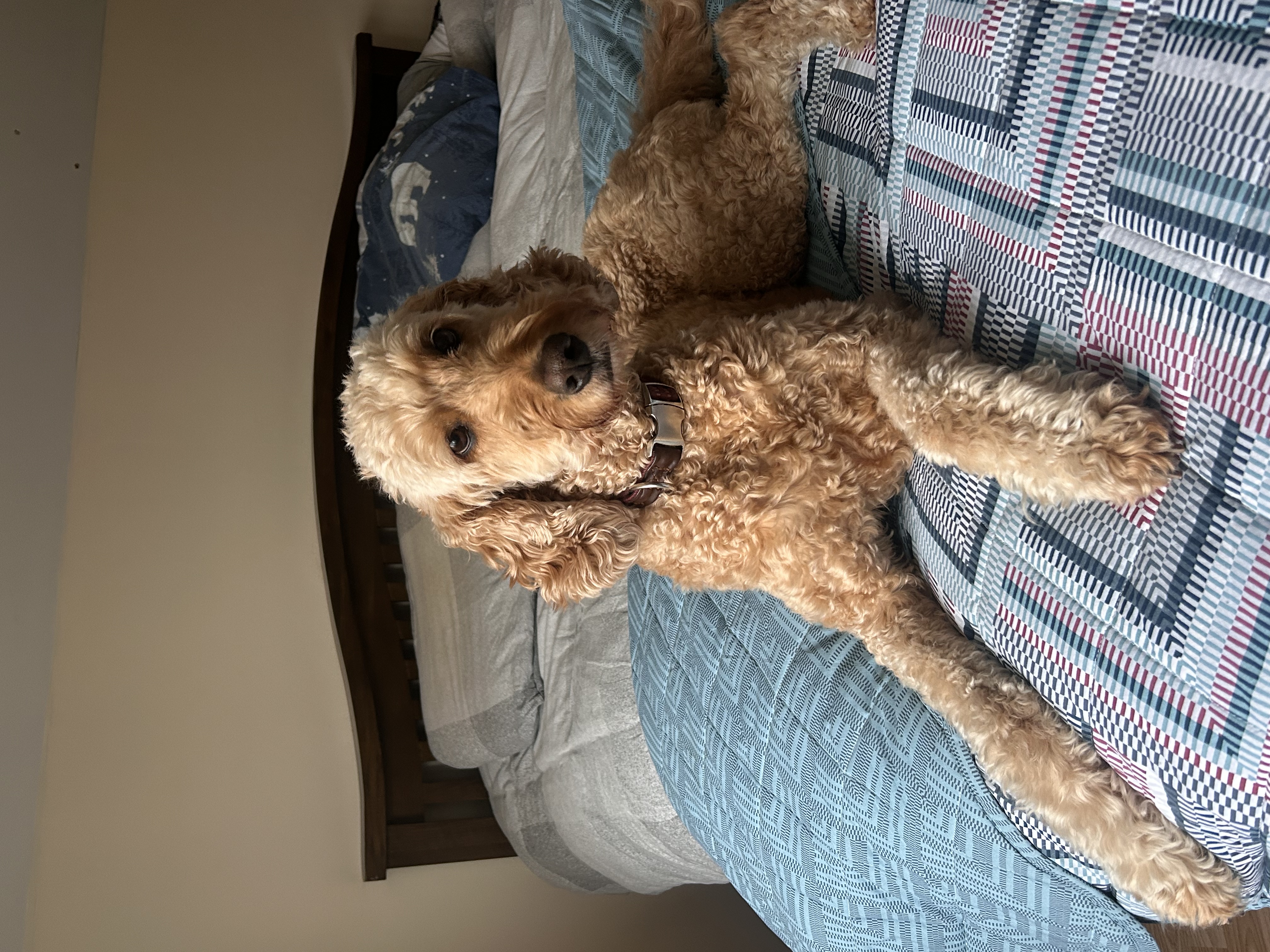 image-27