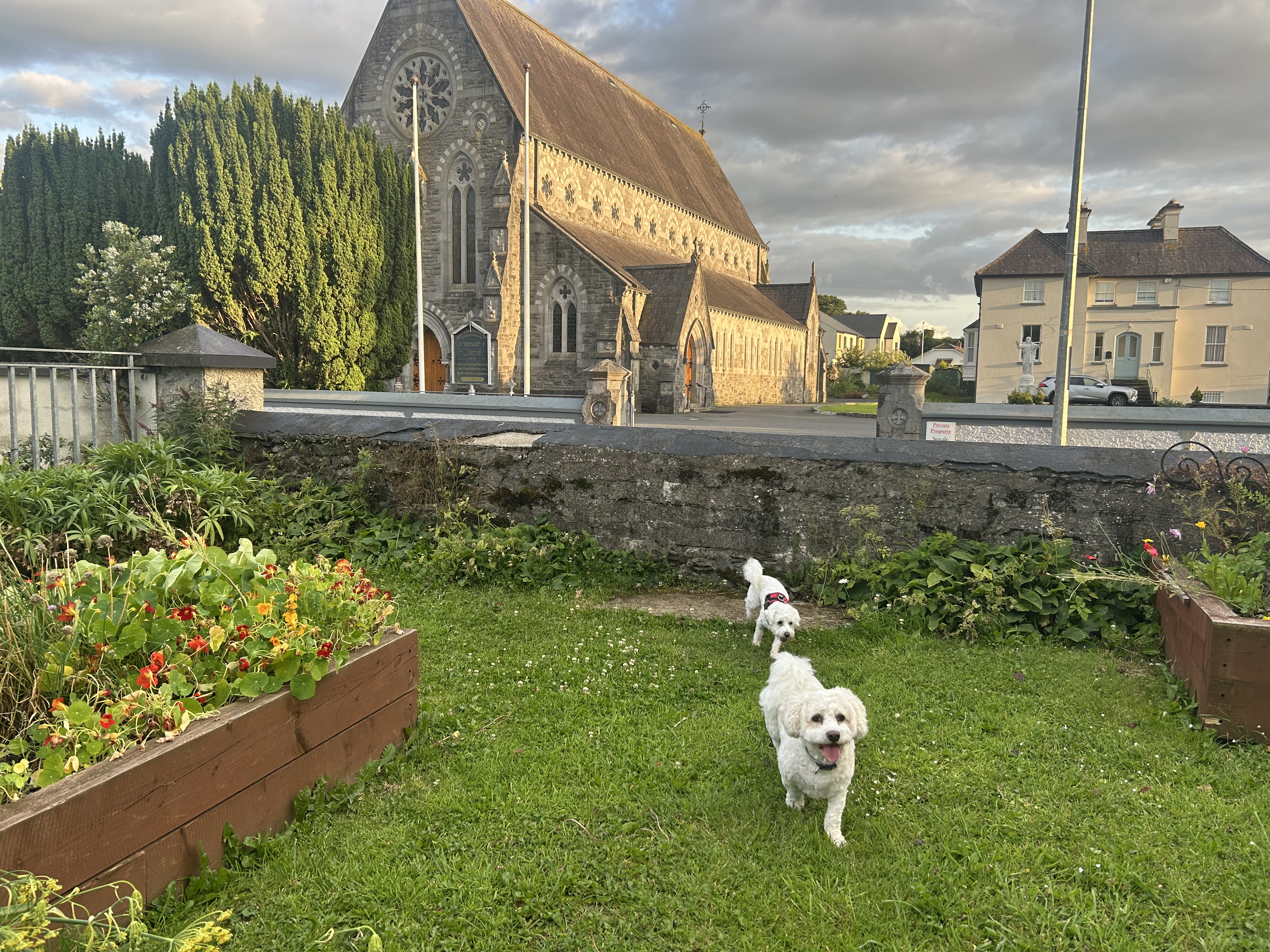 image-14