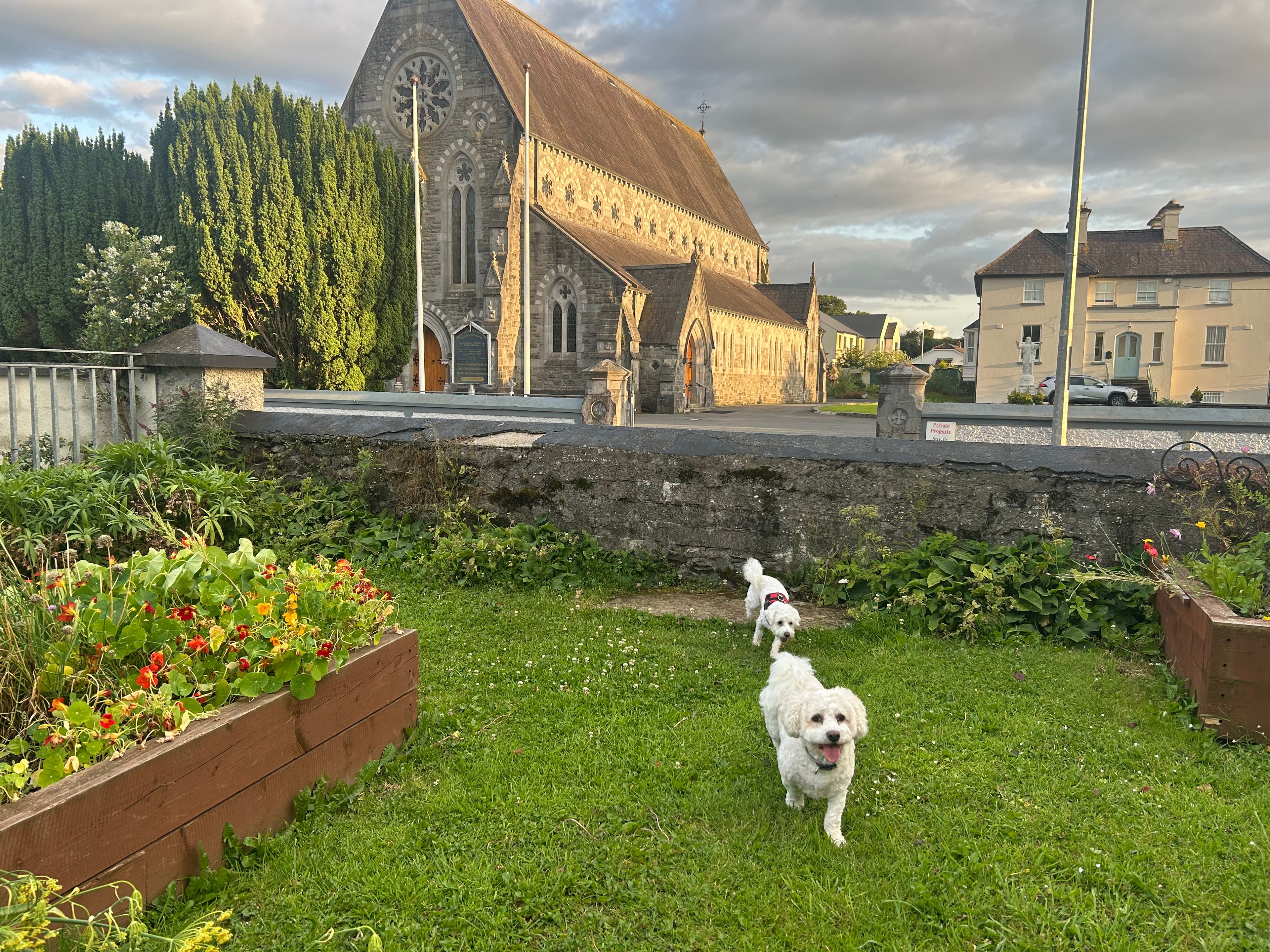 image-14