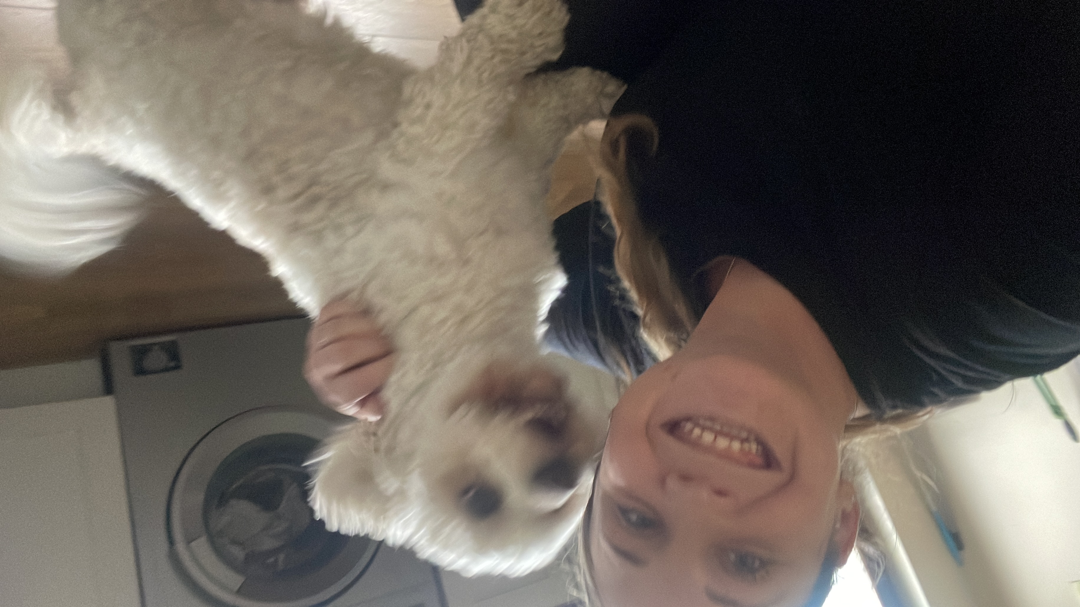image-9