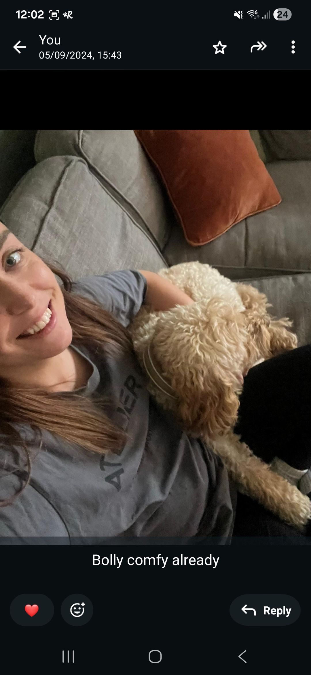 image-7