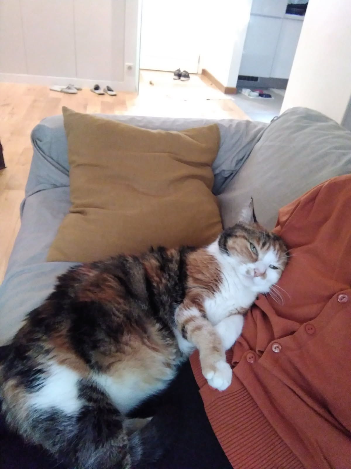 image-8