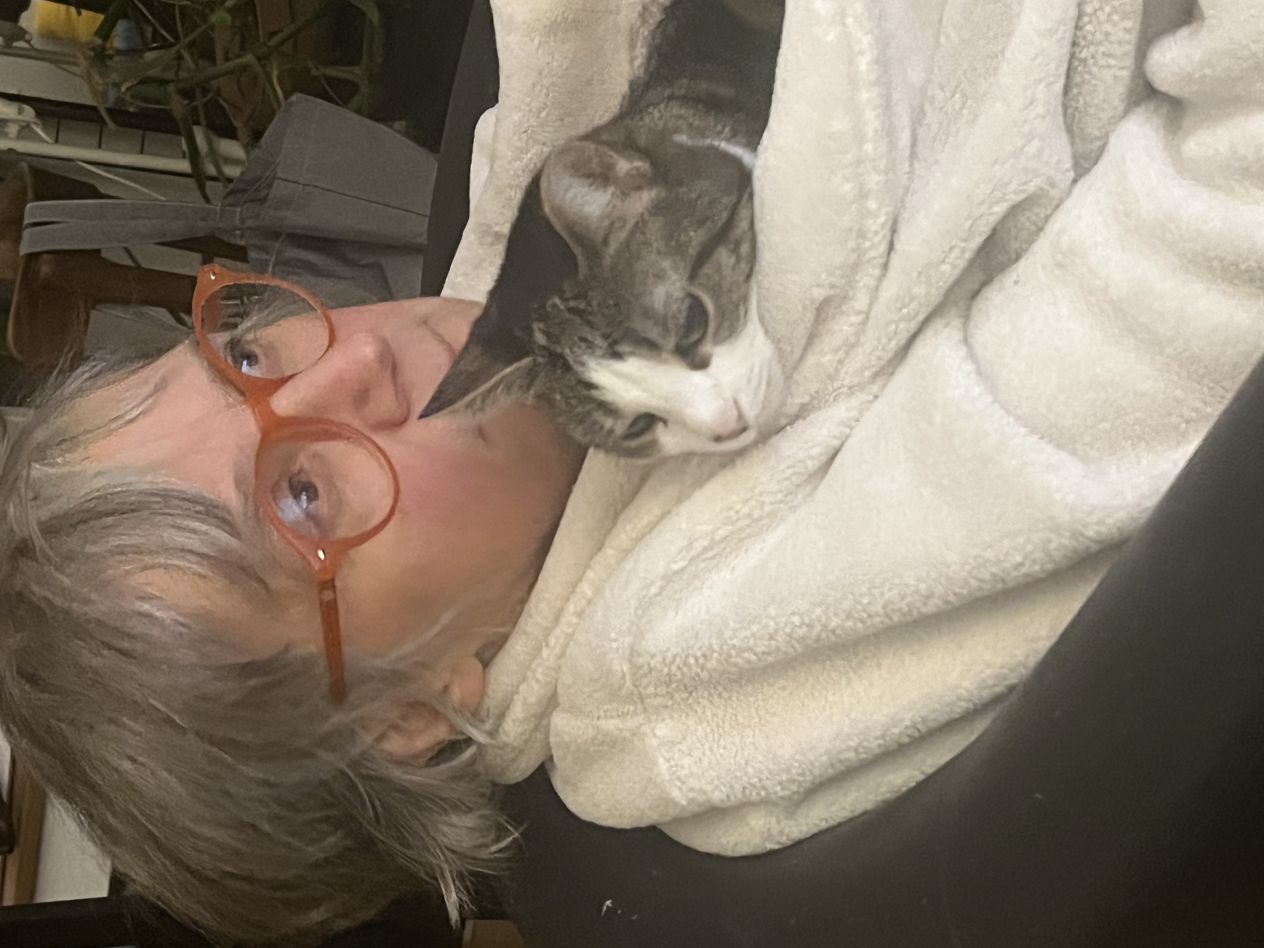 image-6