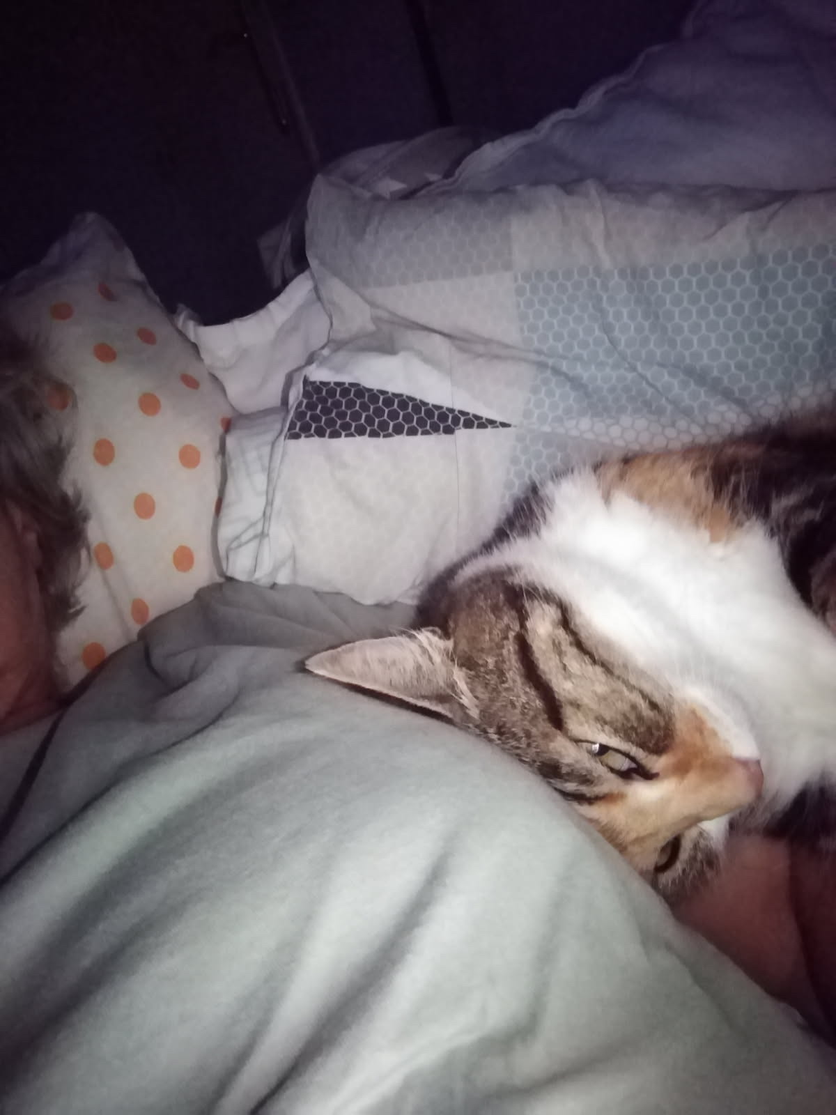 image-7