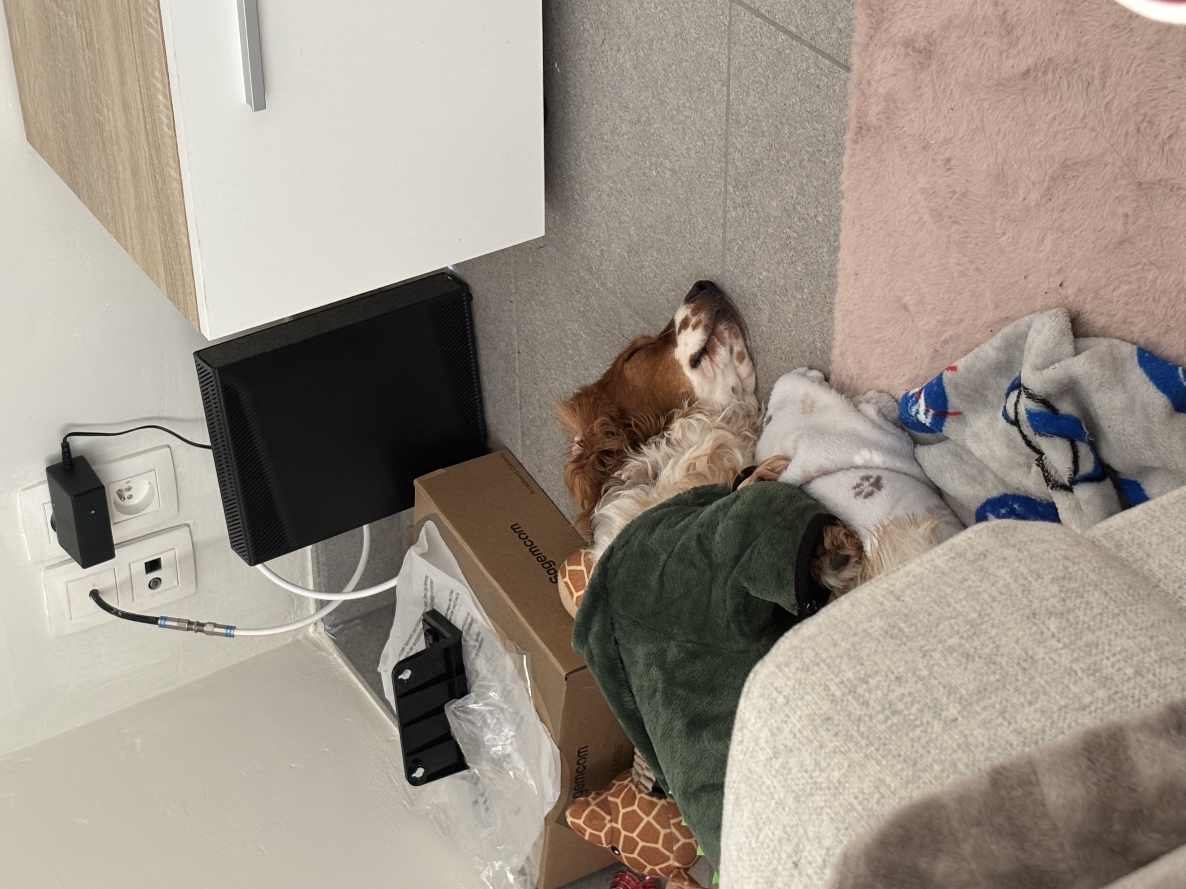 image-16