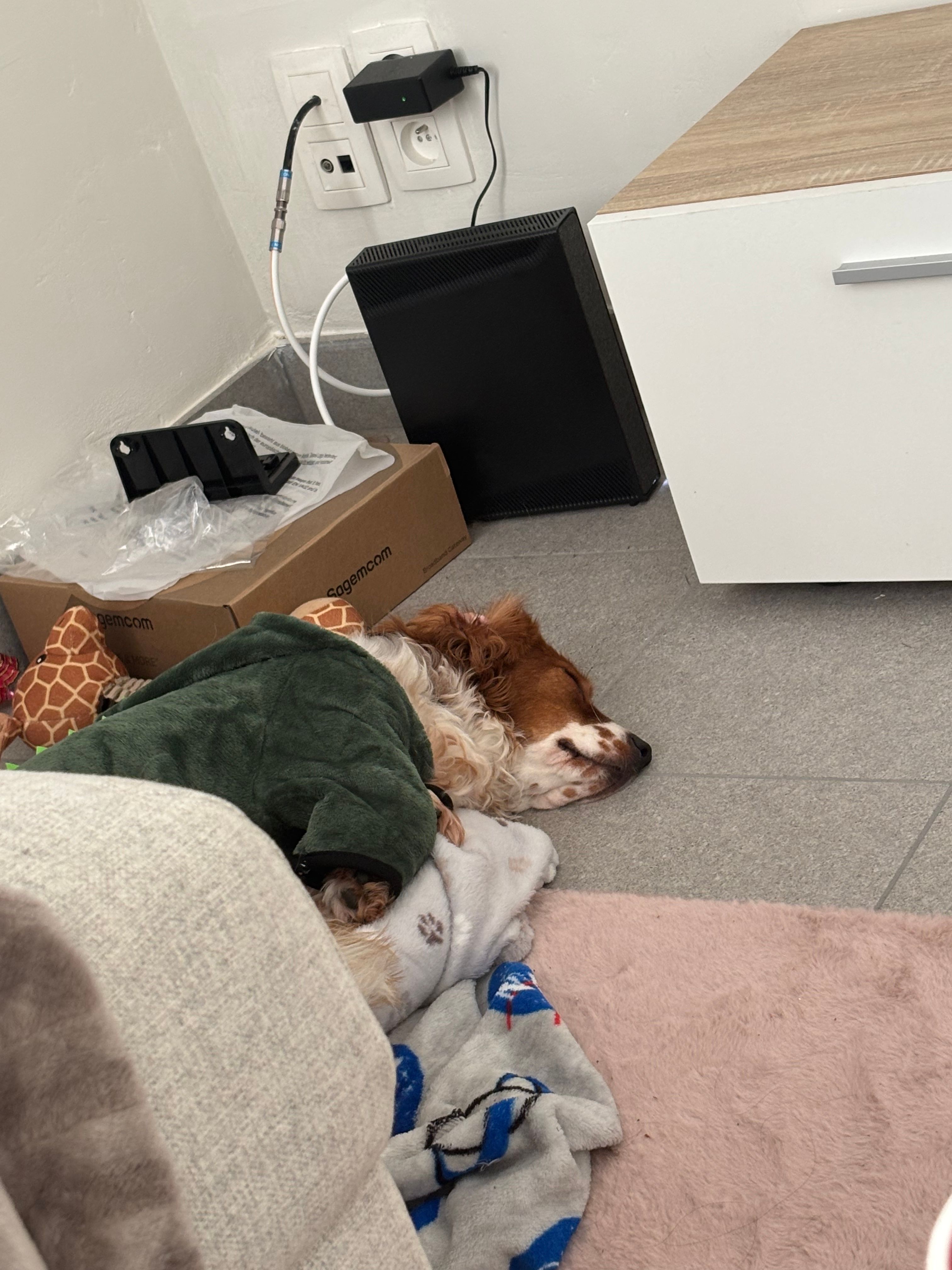 image-16
