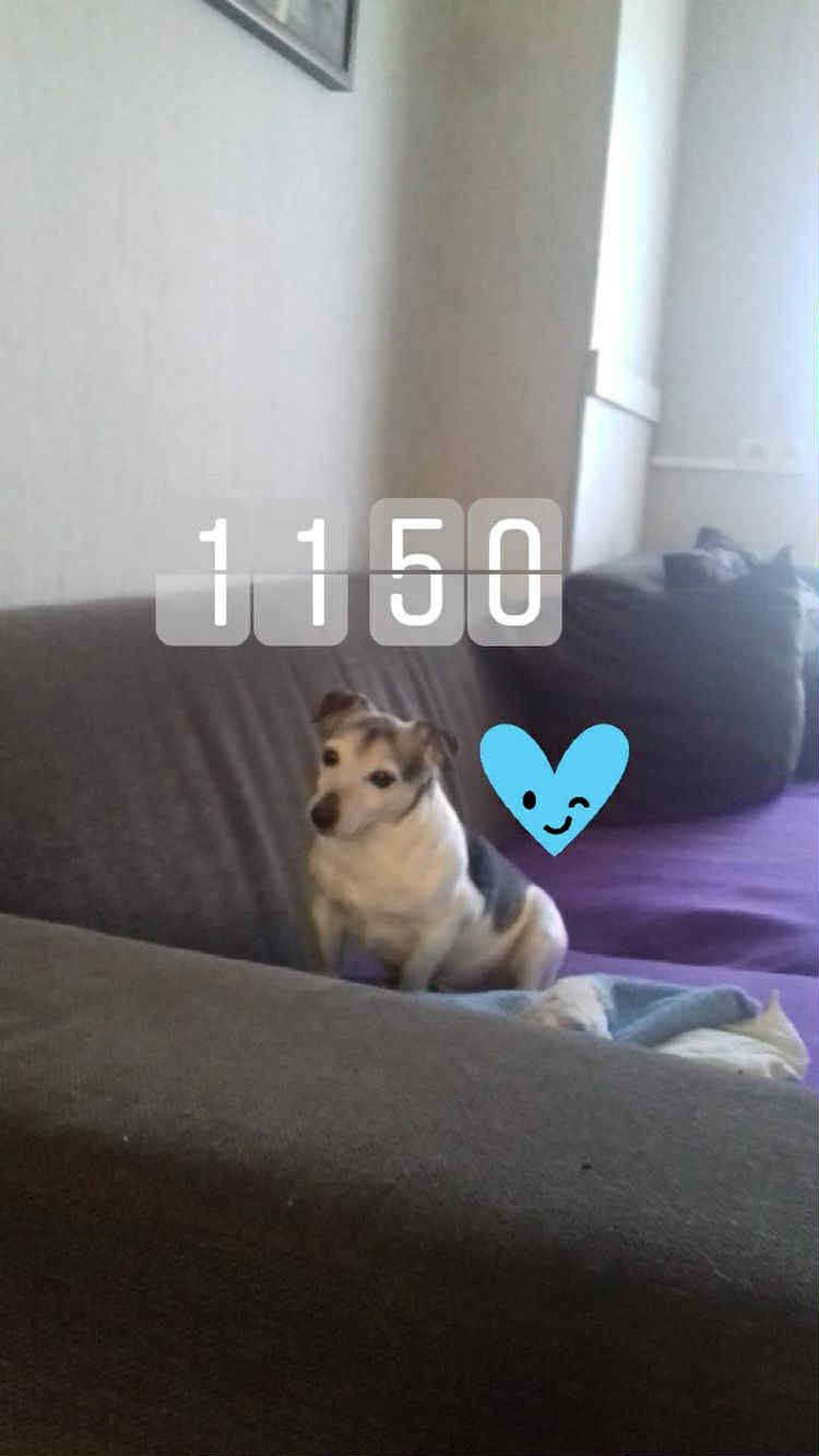 image-8