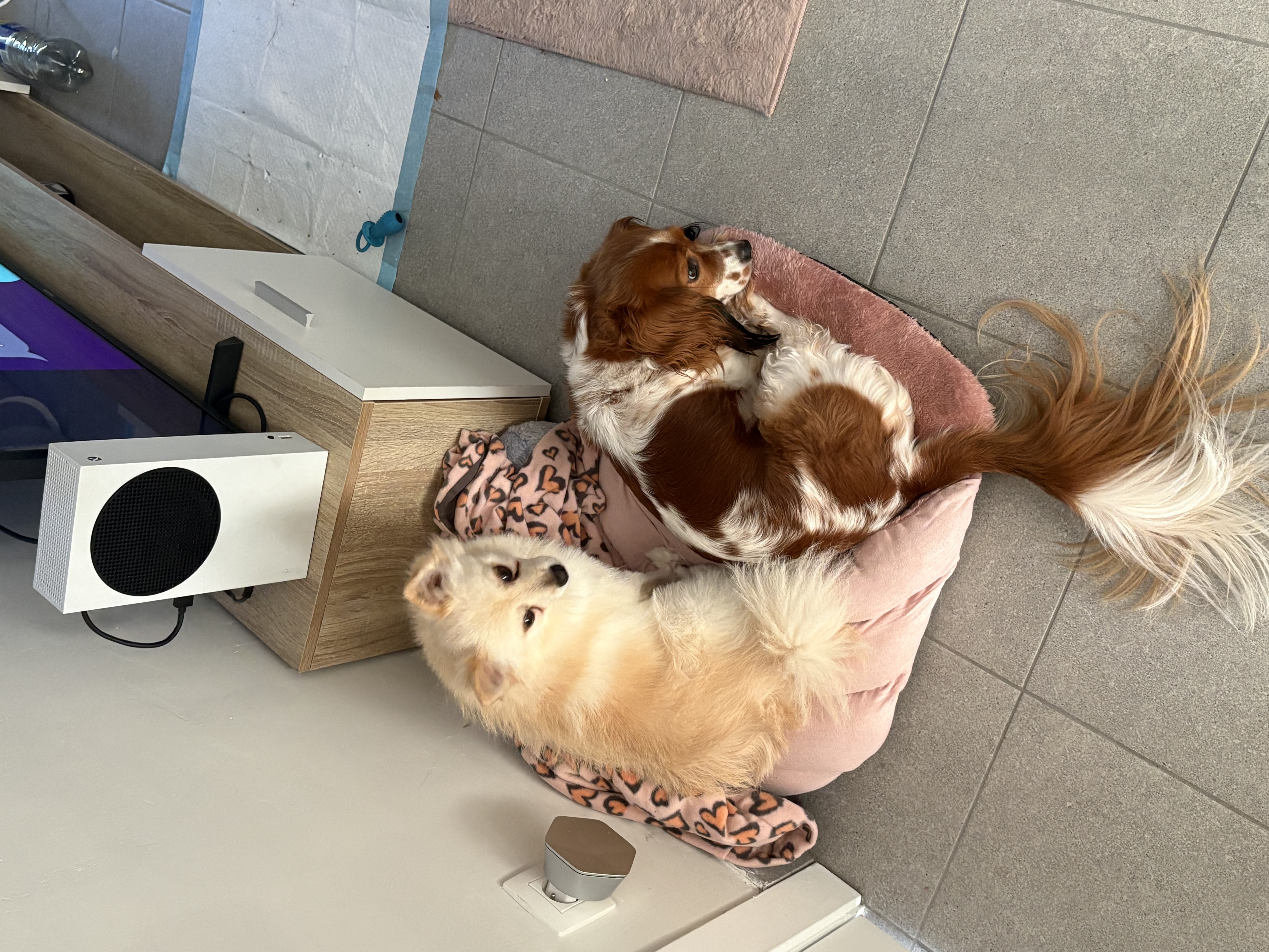 image-18