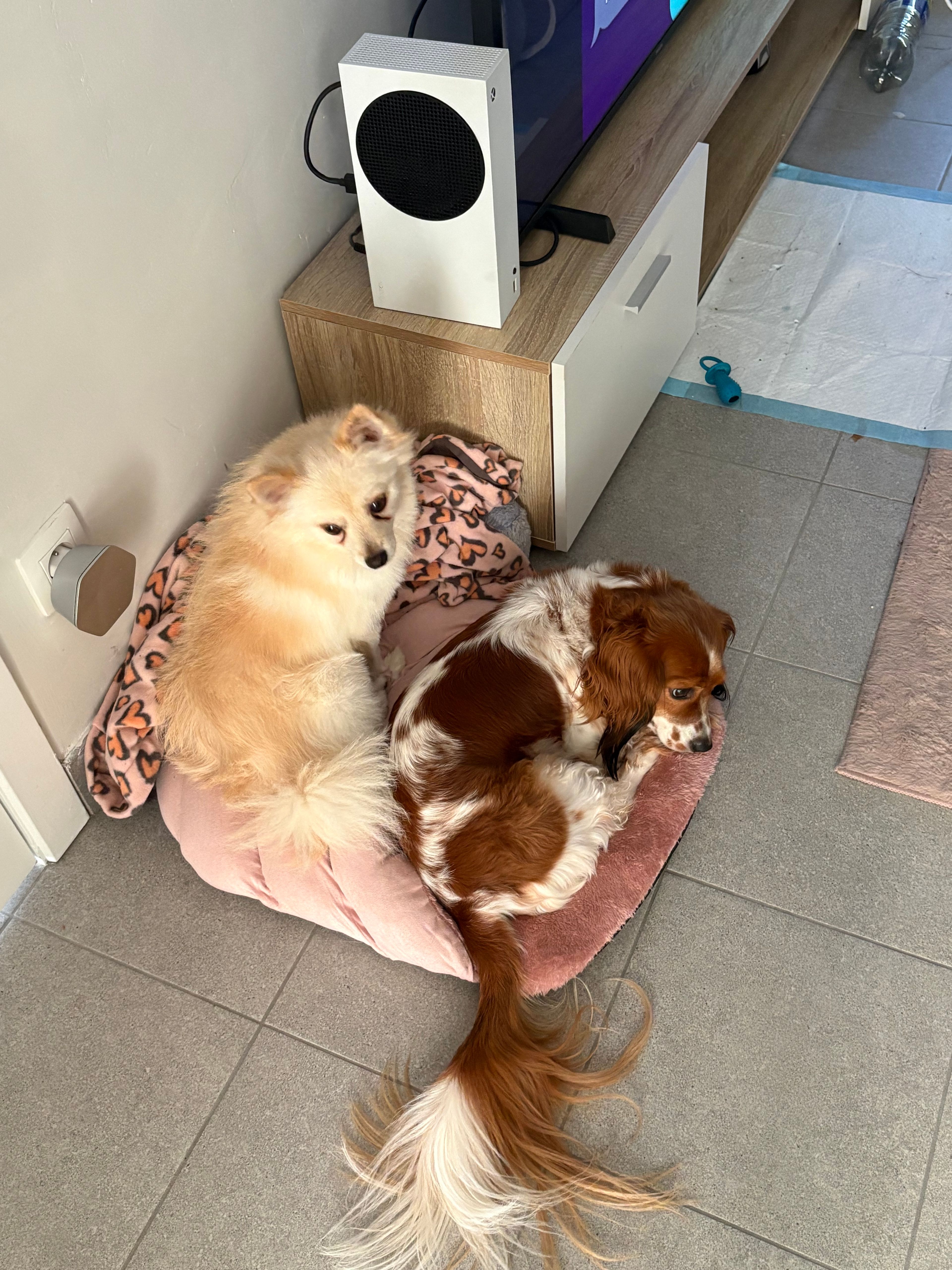image-18