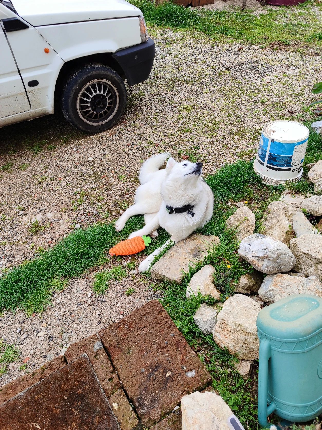 image-16