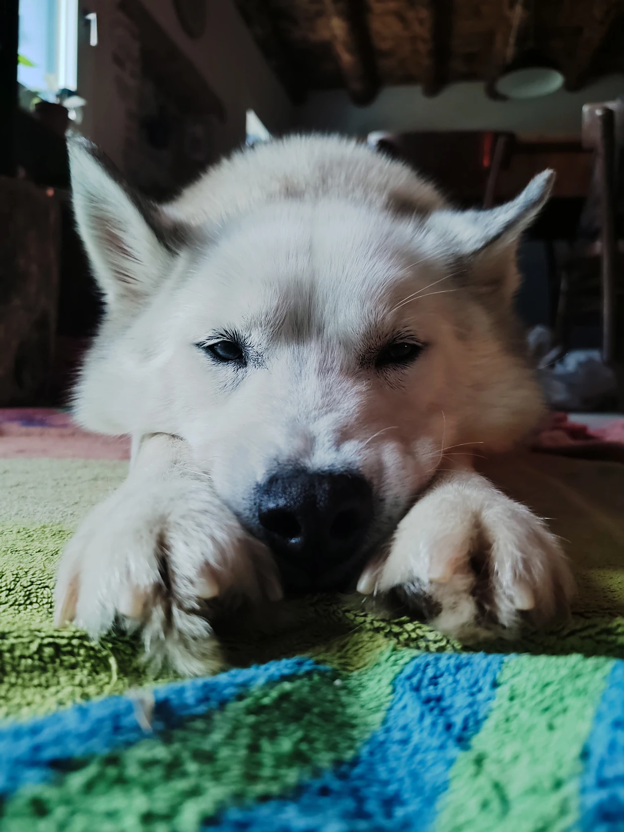 image-6
