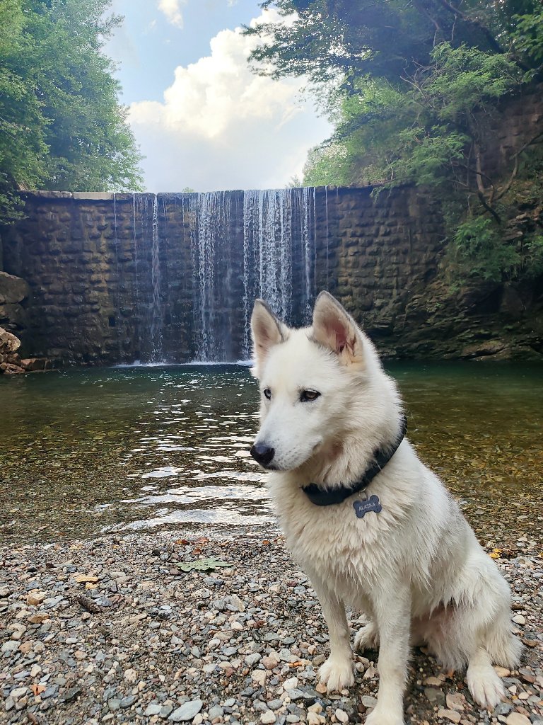 Alaska