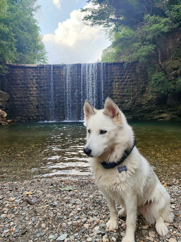 Alaska